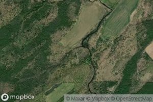 Bog Brook