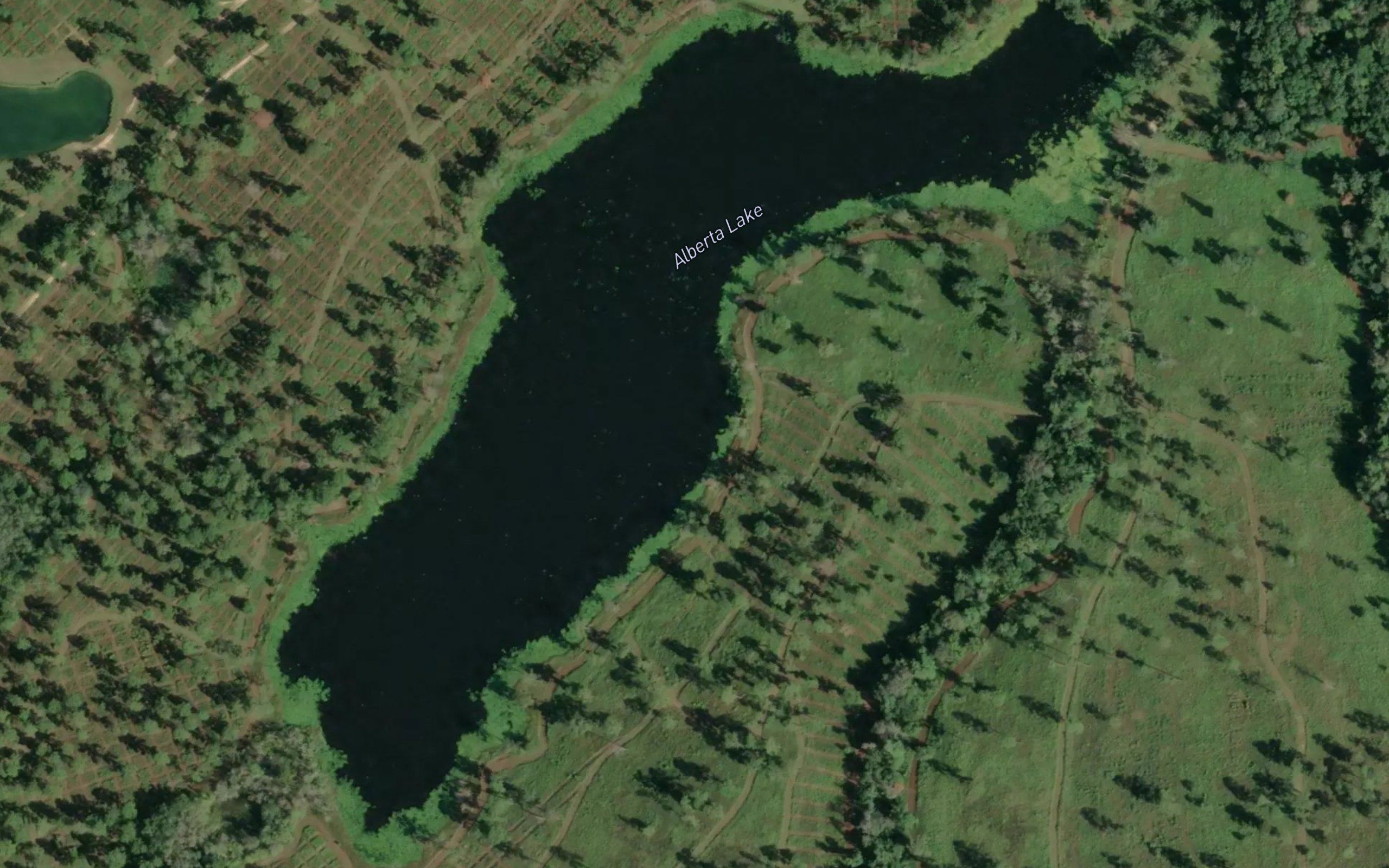 Alberta Lake