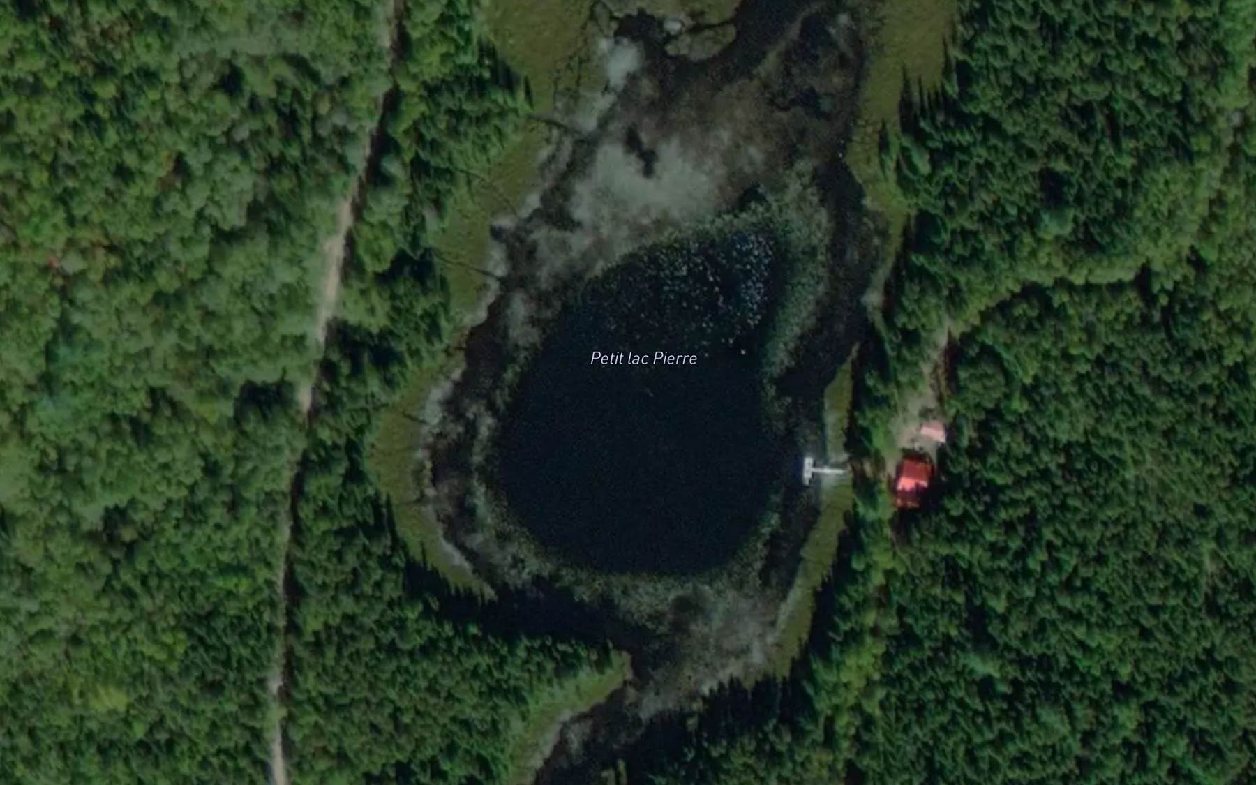 Satellite map of the Petit lac Pierre
