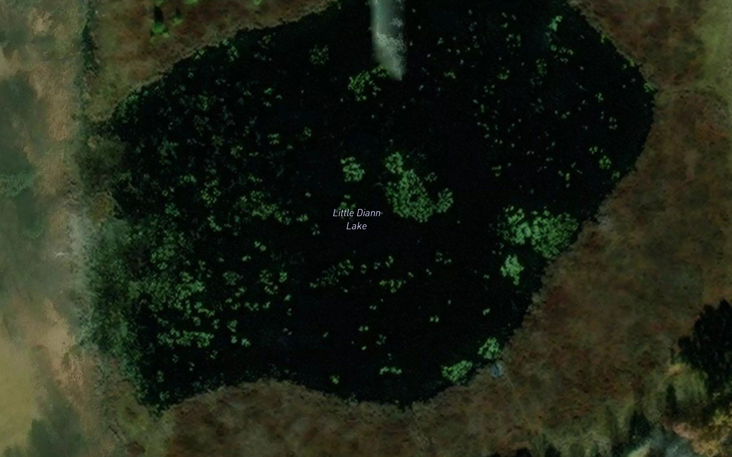 Little Diann Lake