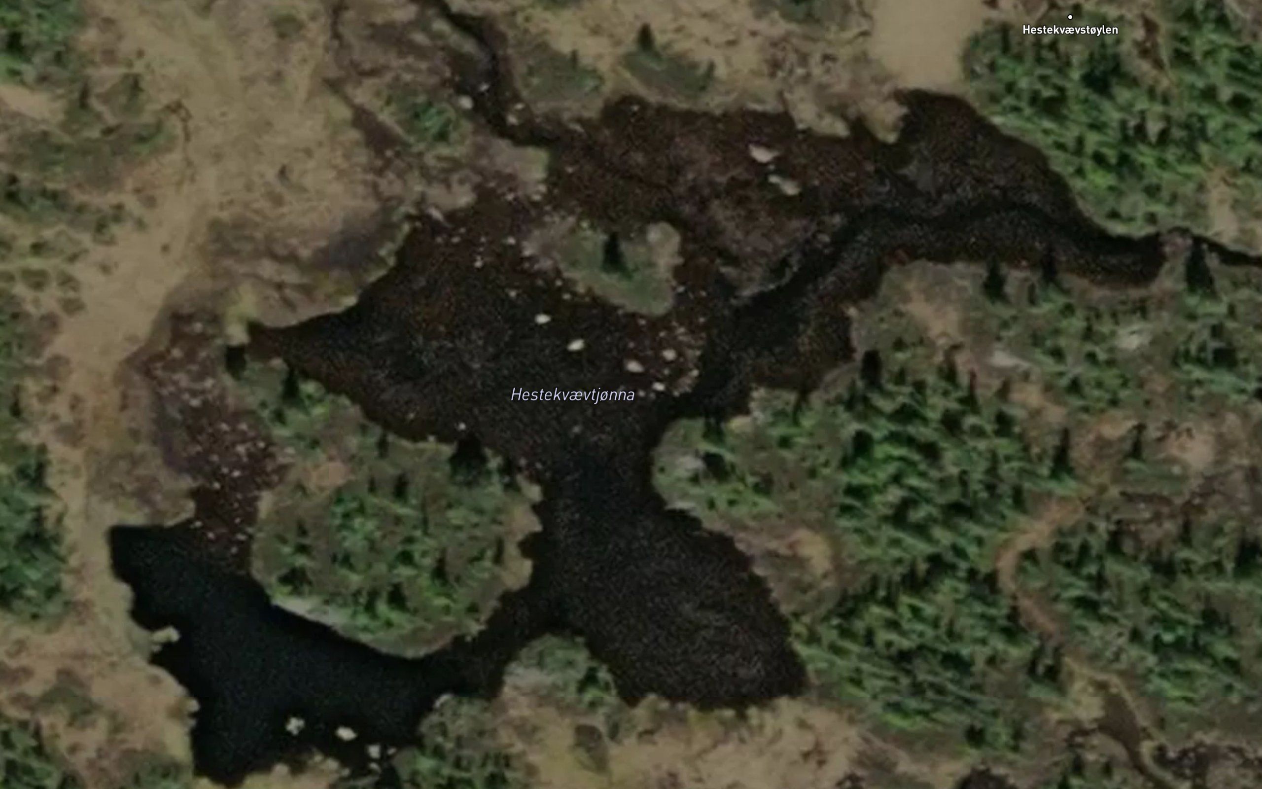 Hestekvaevtjonna
