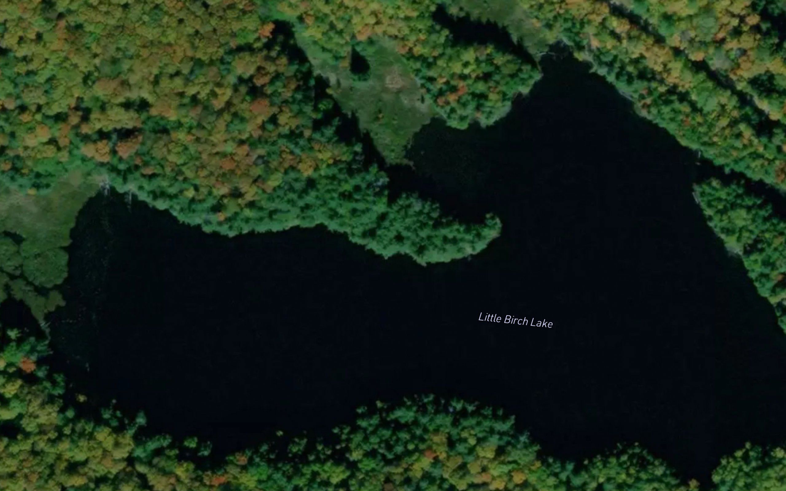 Little Birch Lake