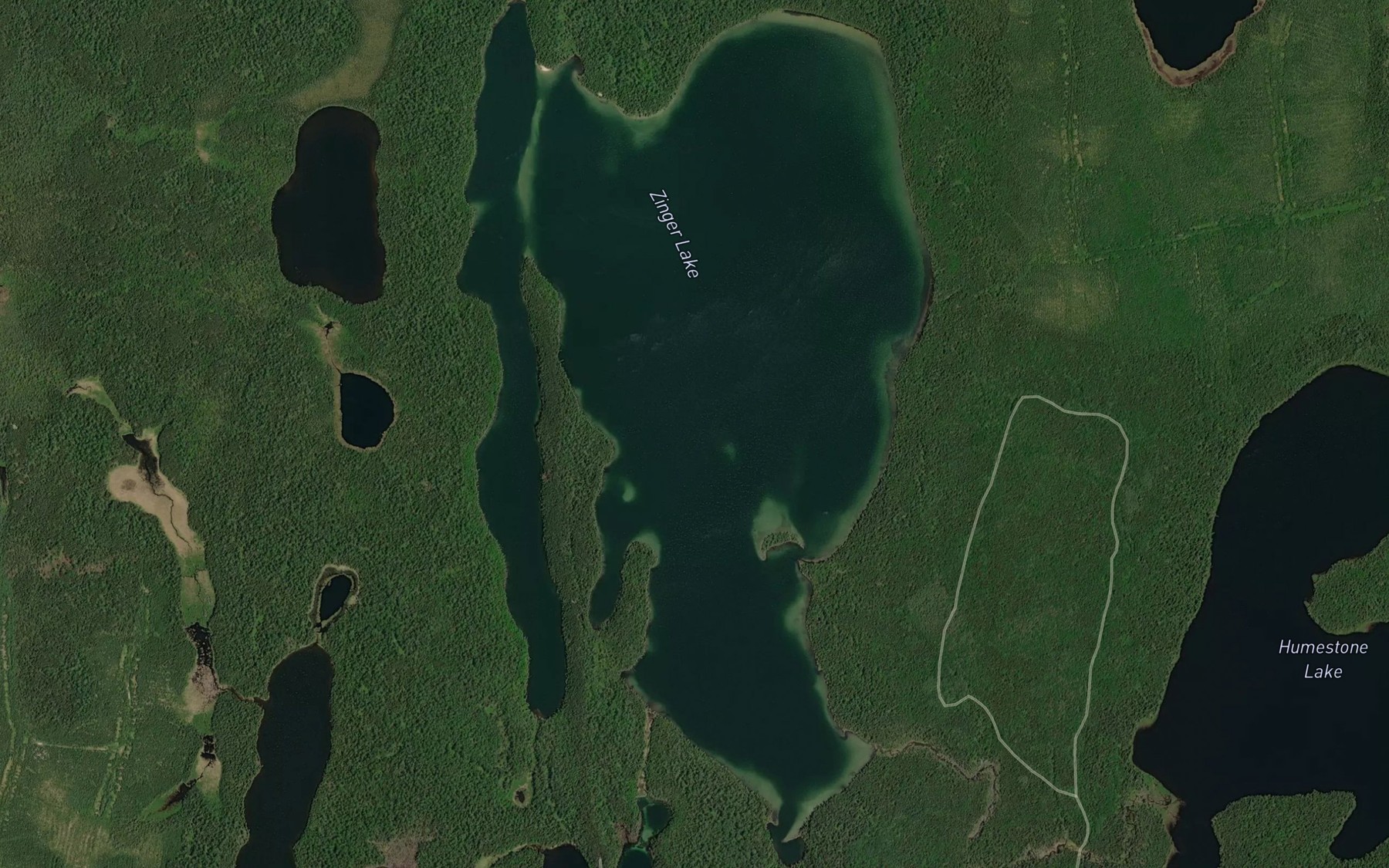 Satellite map of the Zinger Lake