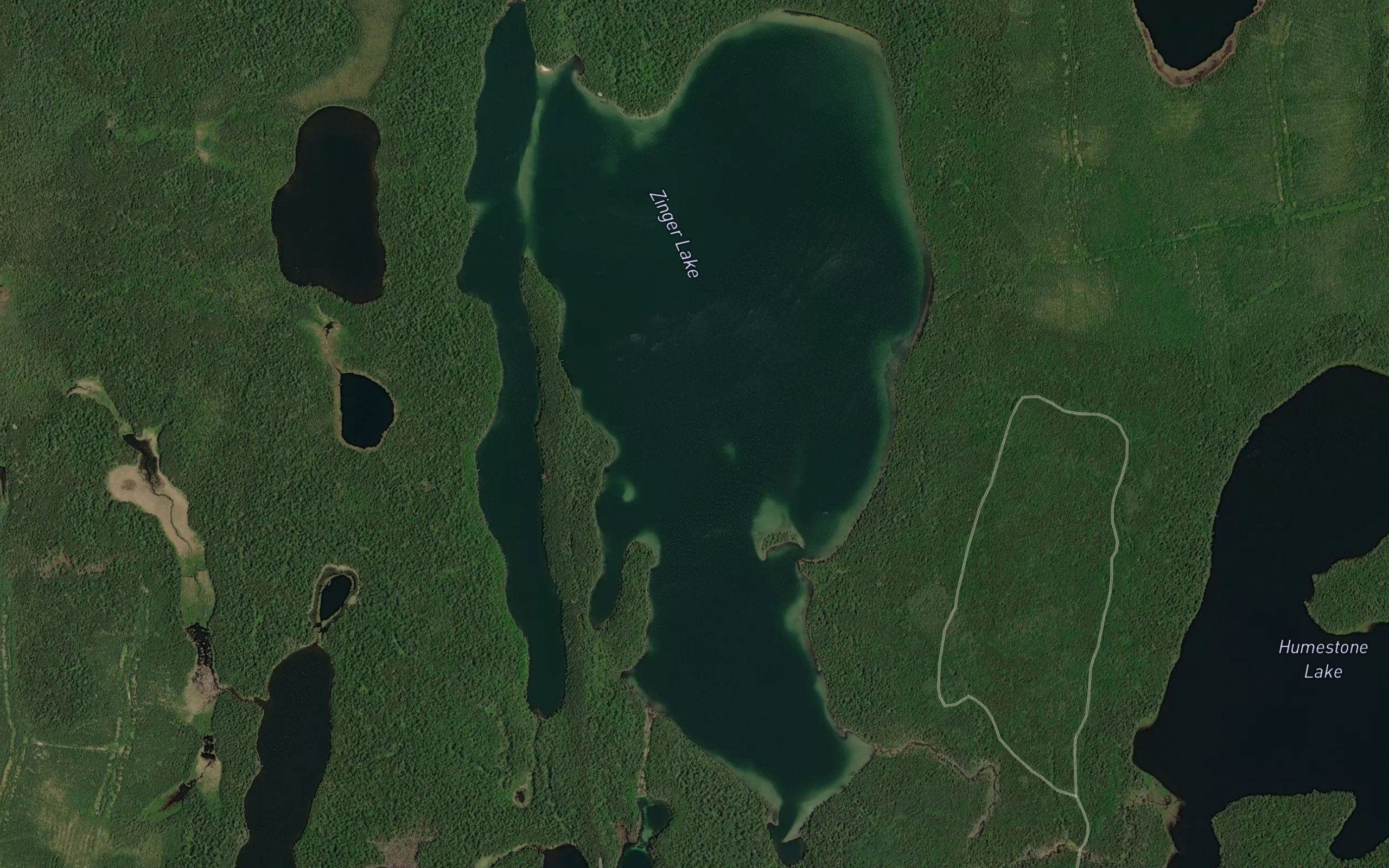 Zinger Lake