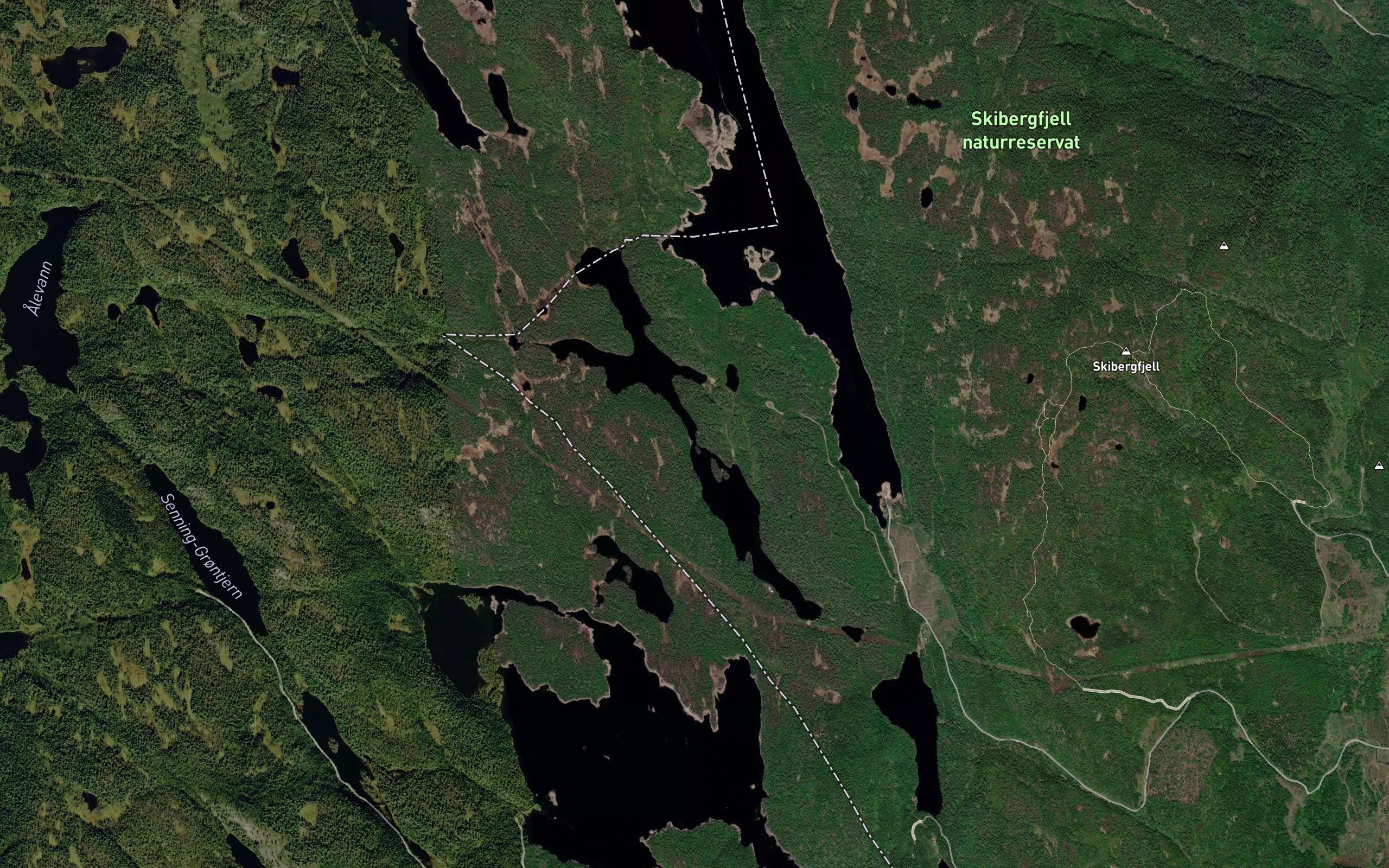 Mjovannet