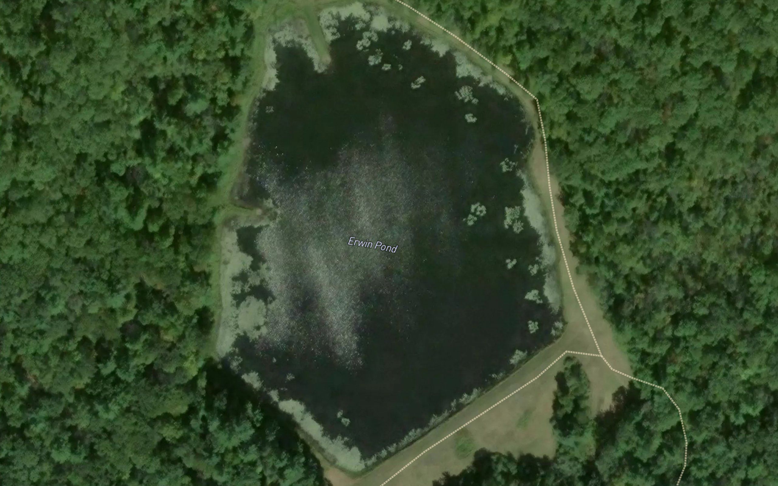 Erwin Pond