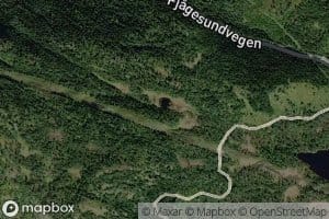 Paddetjorn
