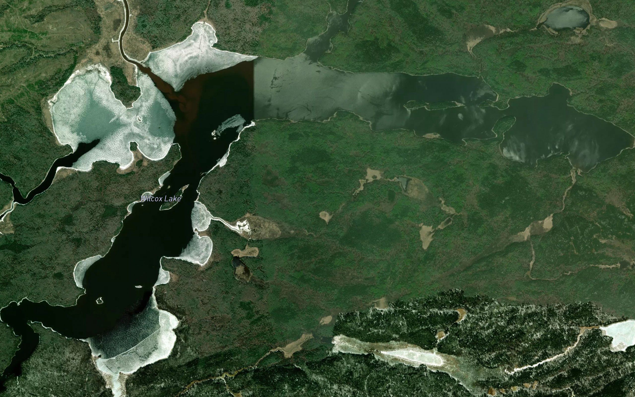Wilcox Lake