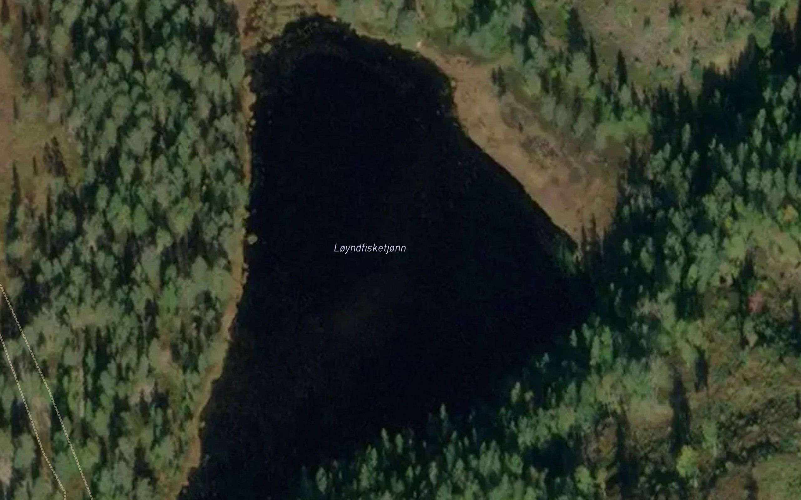 Loyndfisketjorn