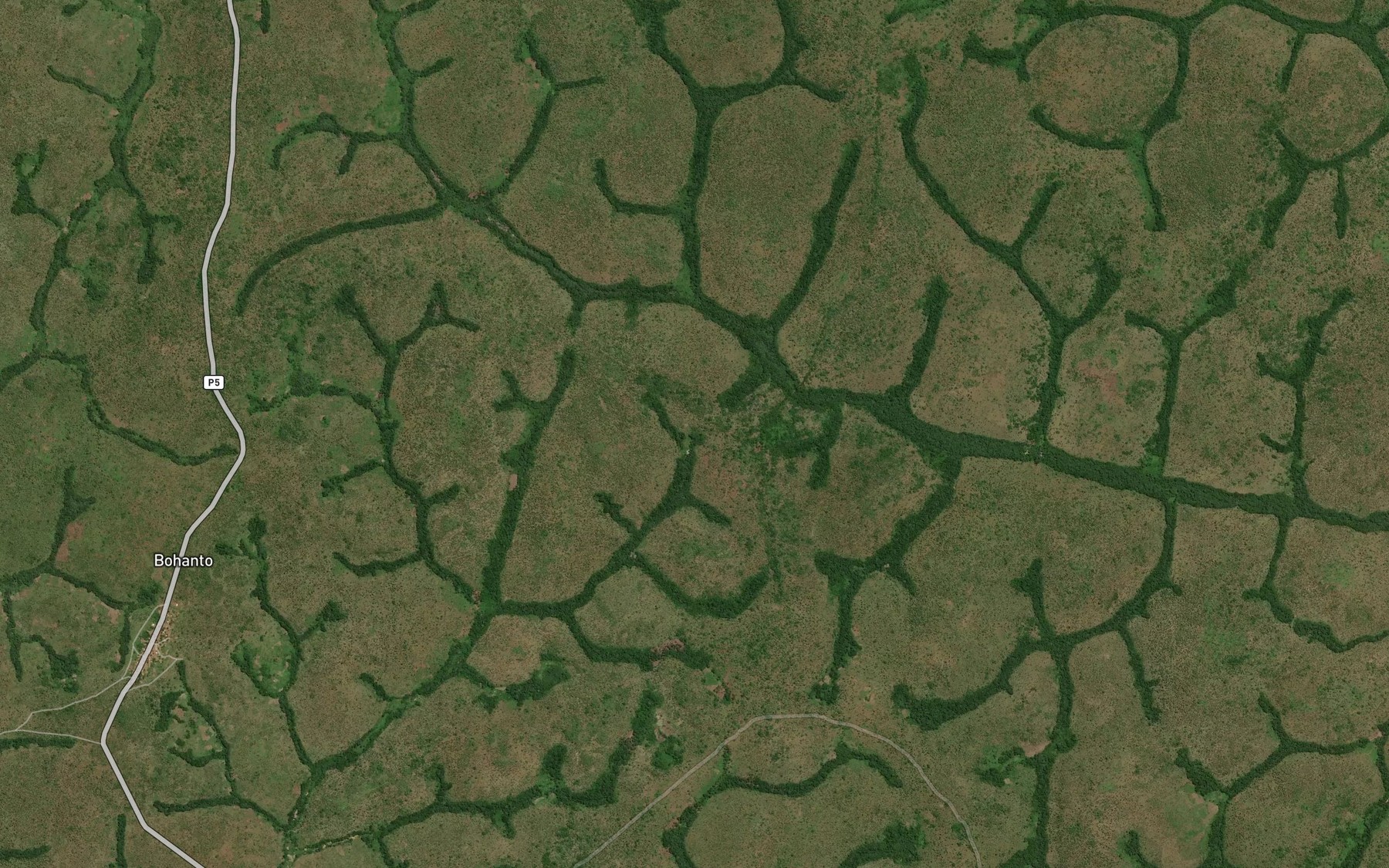 Satellite map of the Belifa
