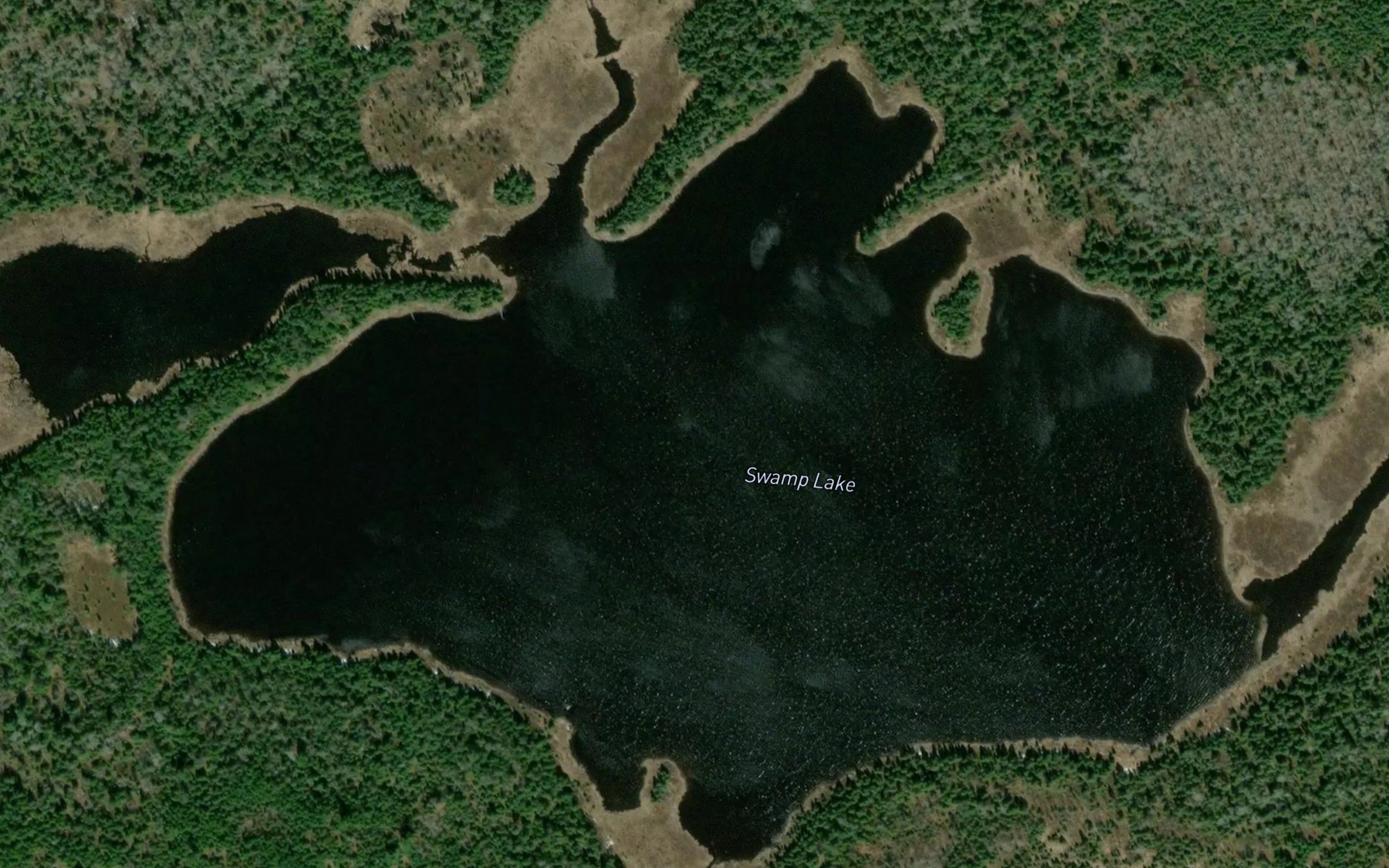 Satellite map of the Swamp Lake