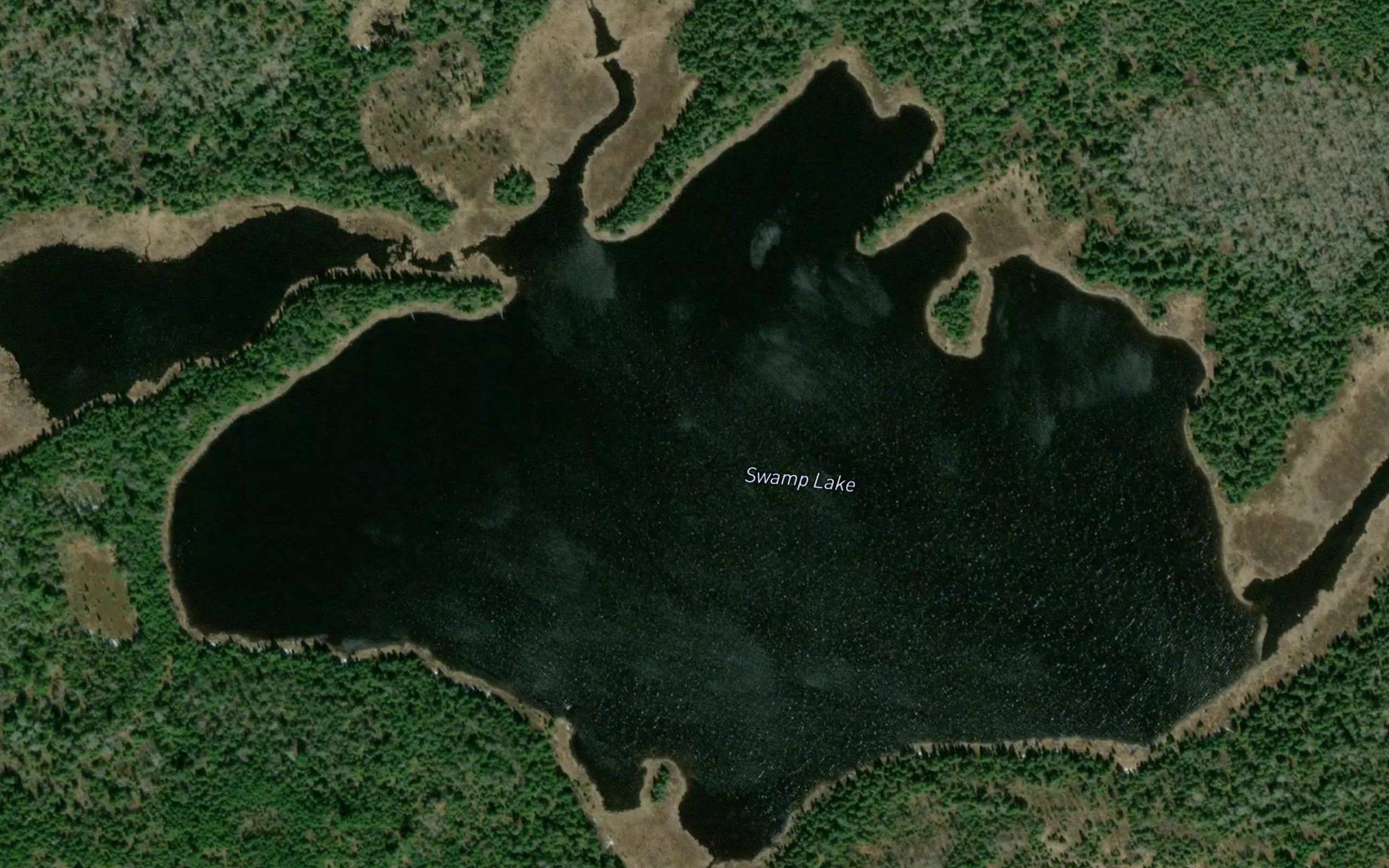Swamp Lake
