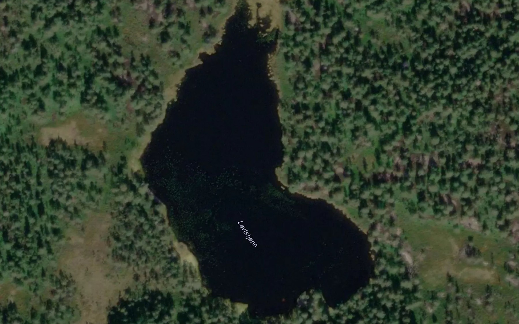 Satellite map of the Loytstjonn