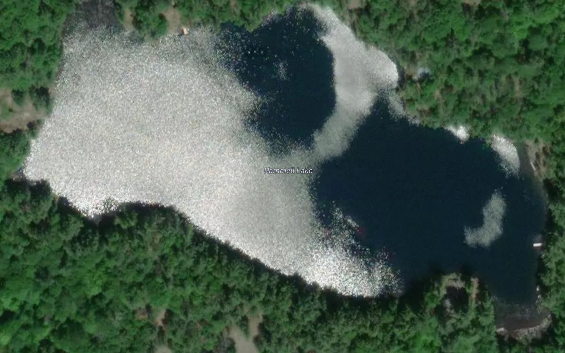 Satellite map of the Hammell Lake