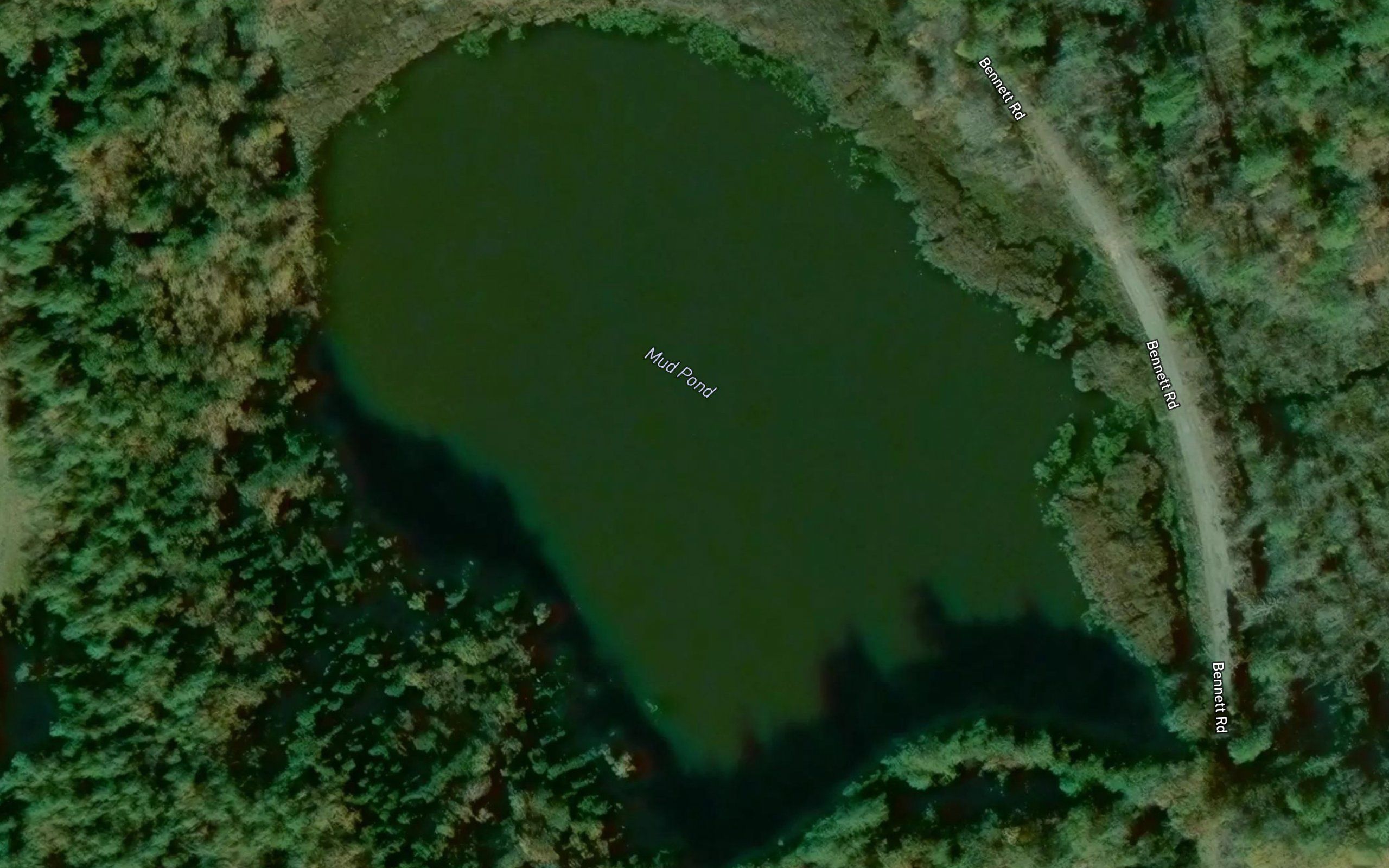 Mud Pond