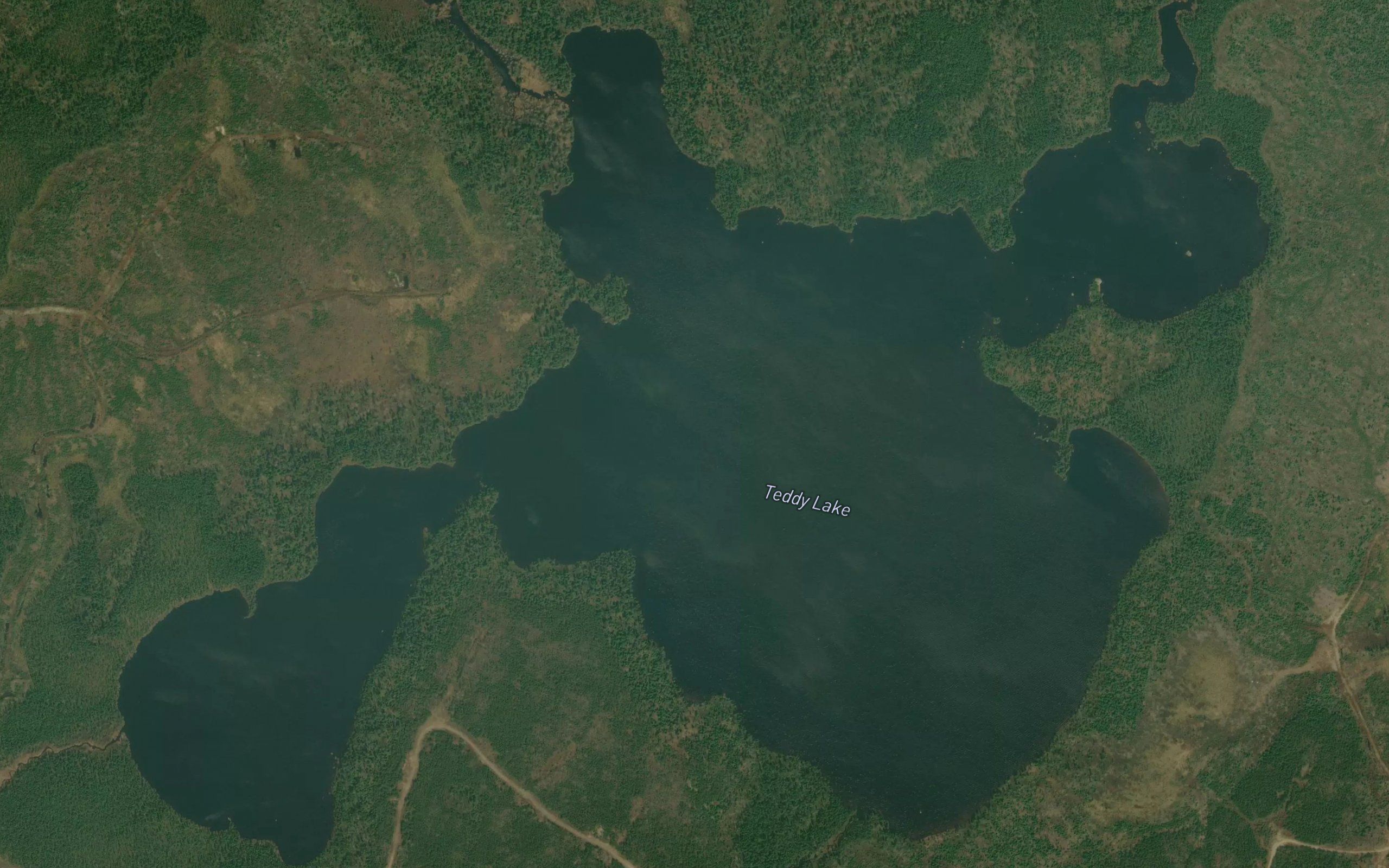Teddy Lake