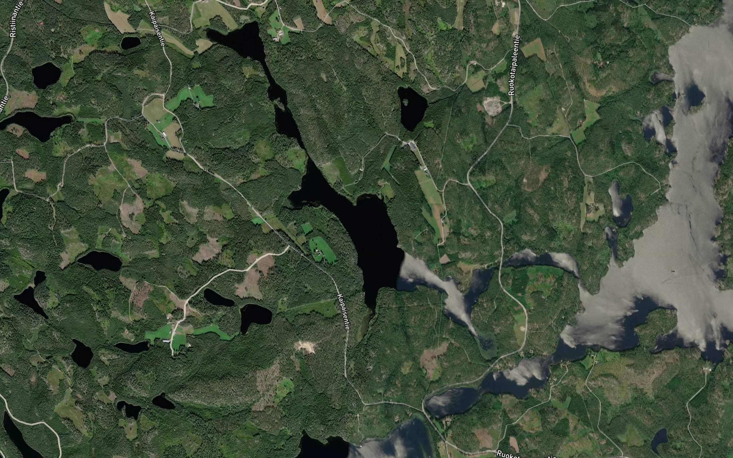 Sarkanen