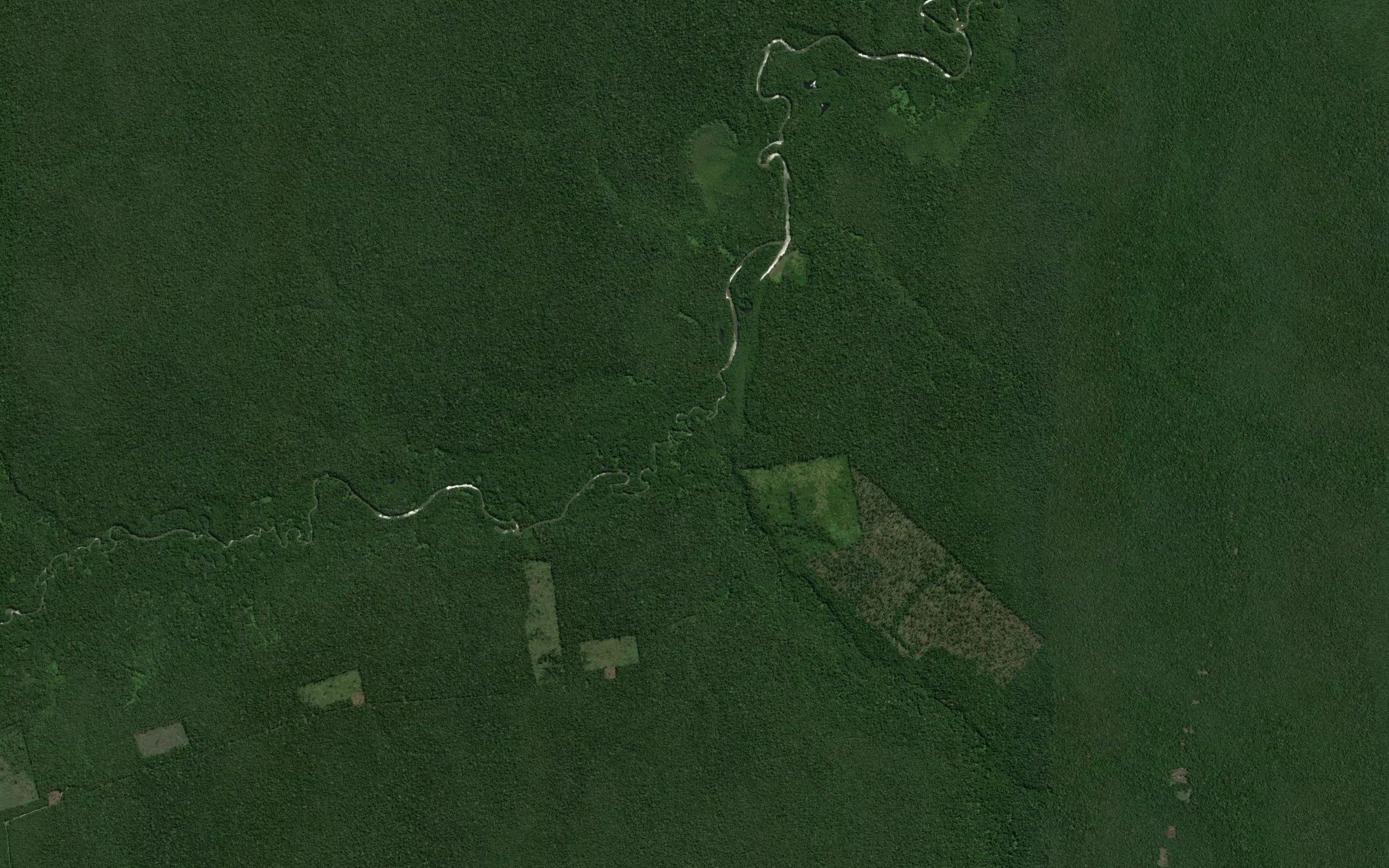 Rio Ipixuna