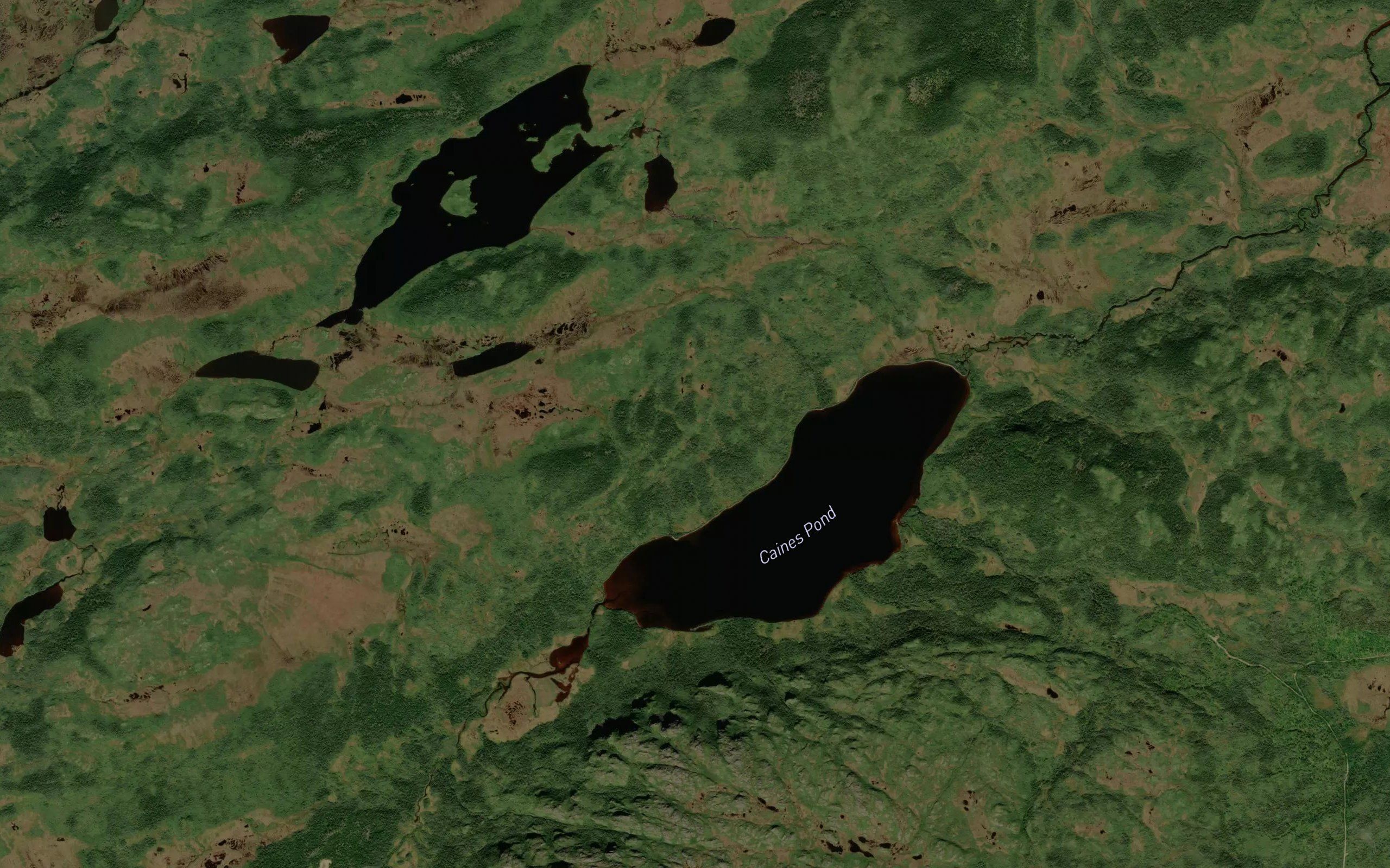 Caines Pond