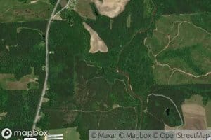 Pea Creek