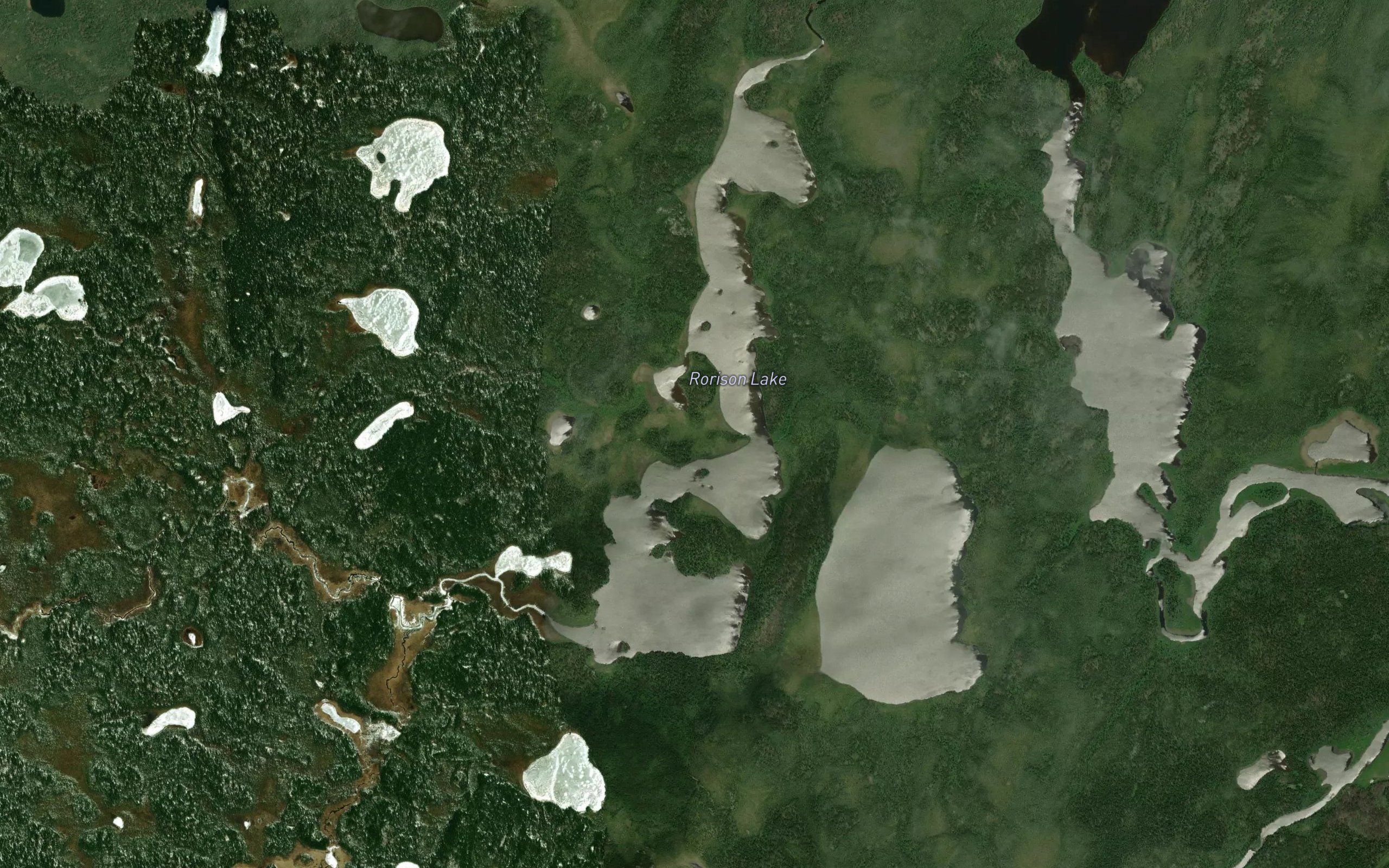 Rorison Lake