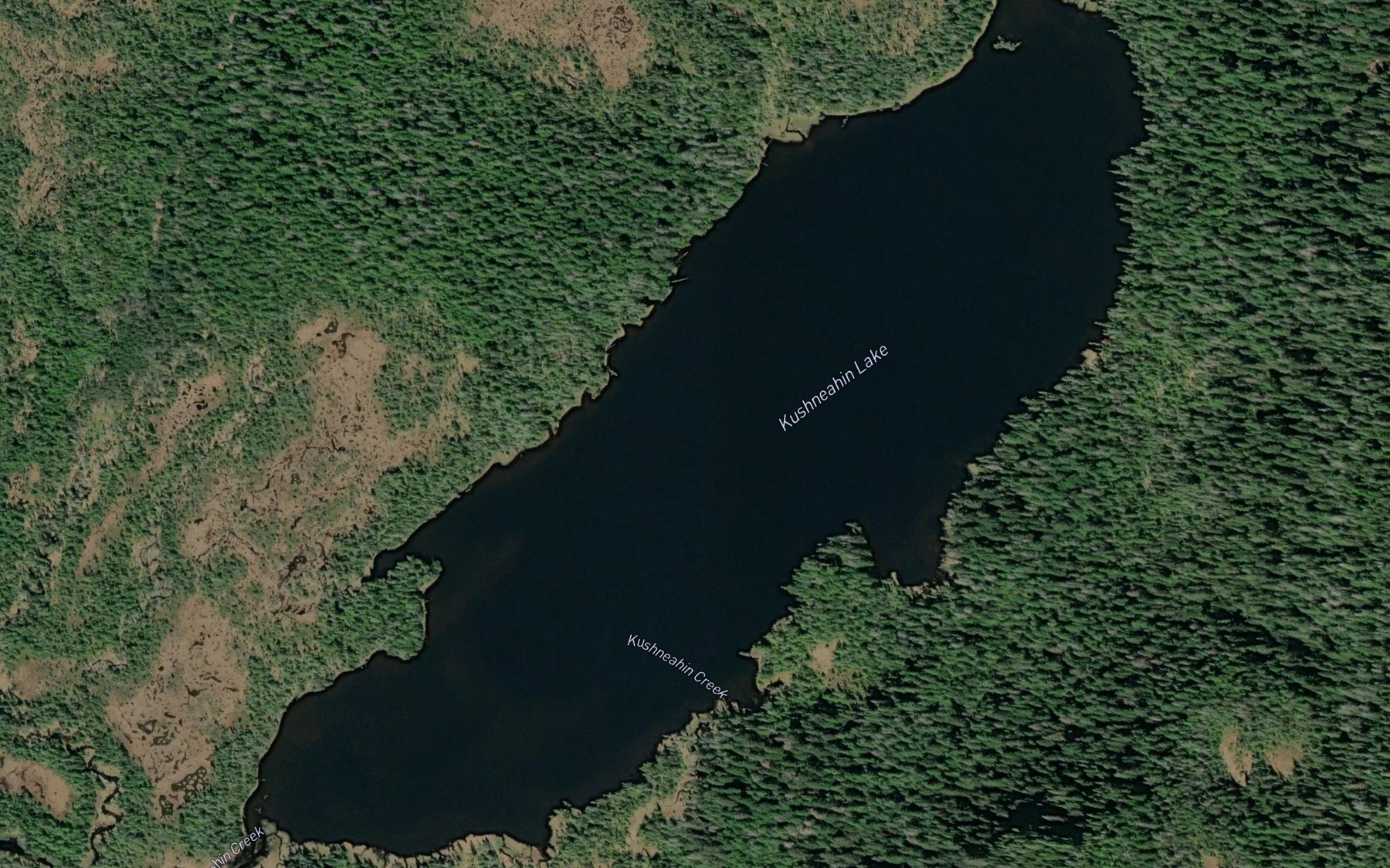 Satellite map of the Kushneahin Lake