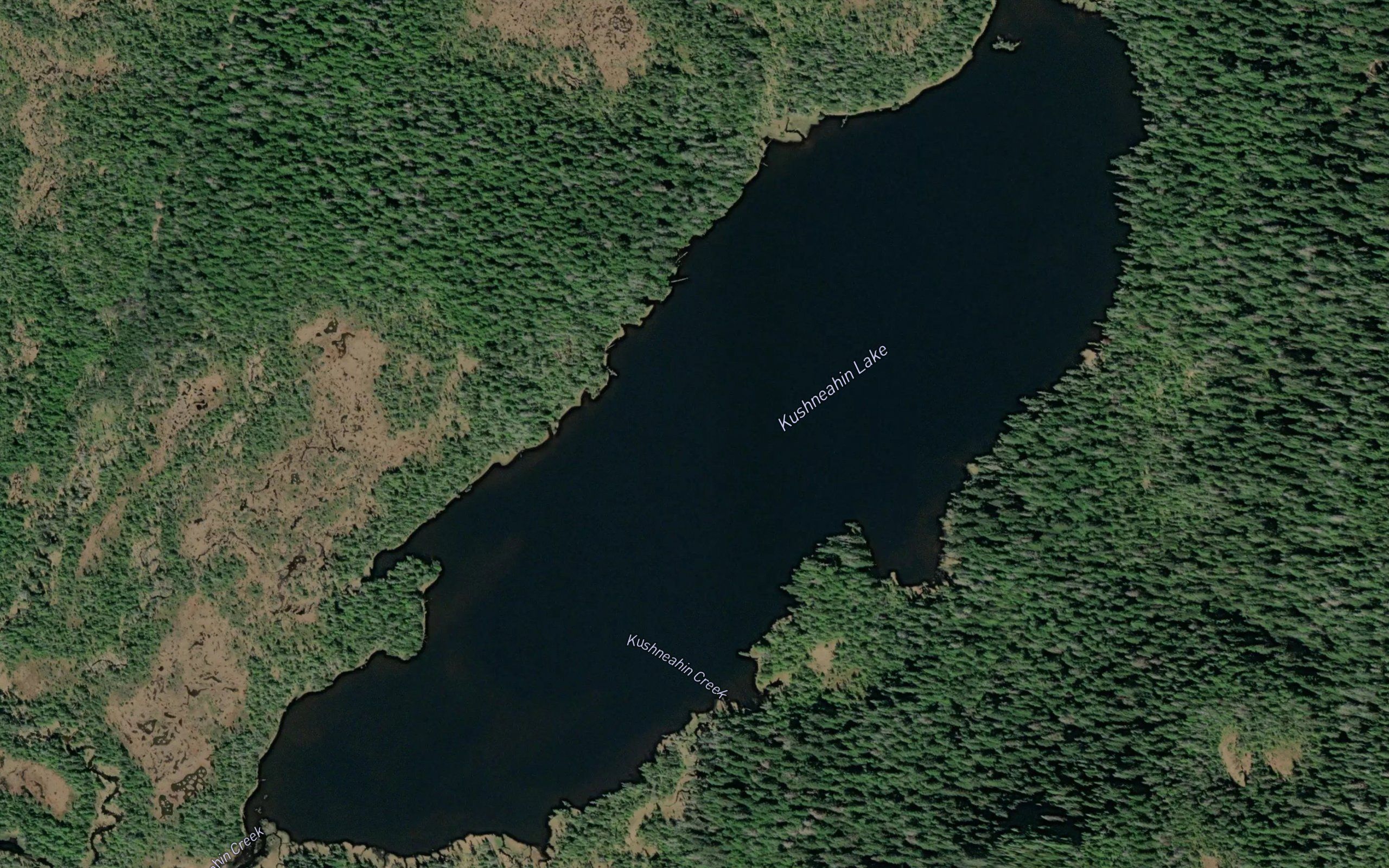Kushneahin Lake