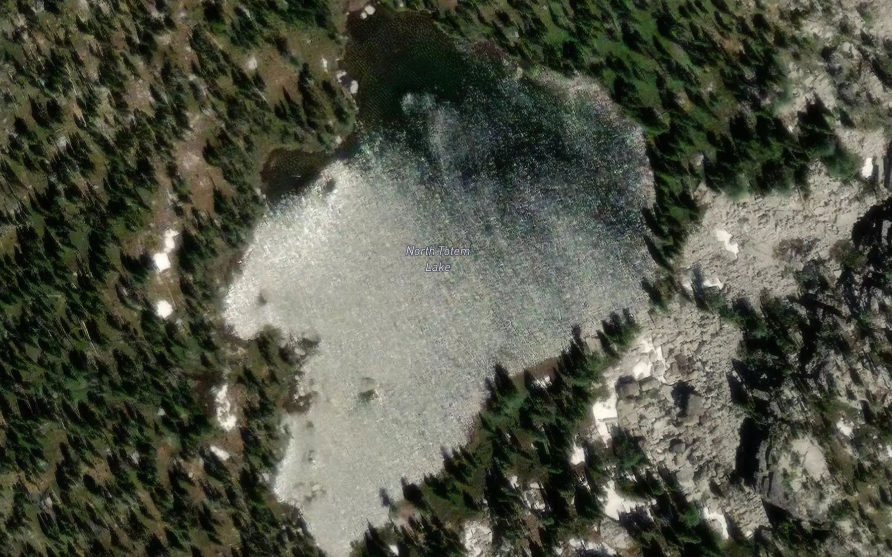 Satellite map of the North Totem Lake