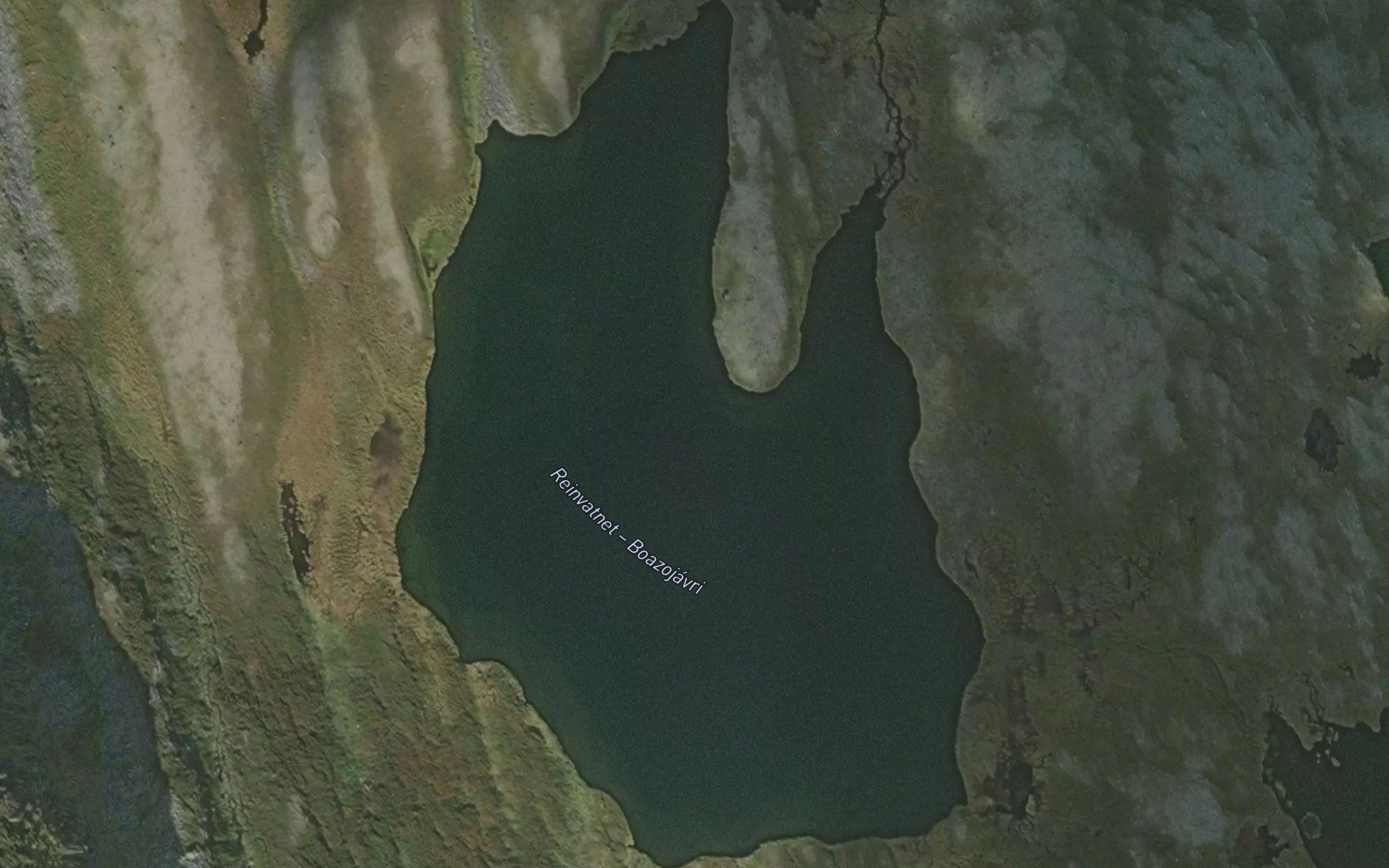 Boazujavri