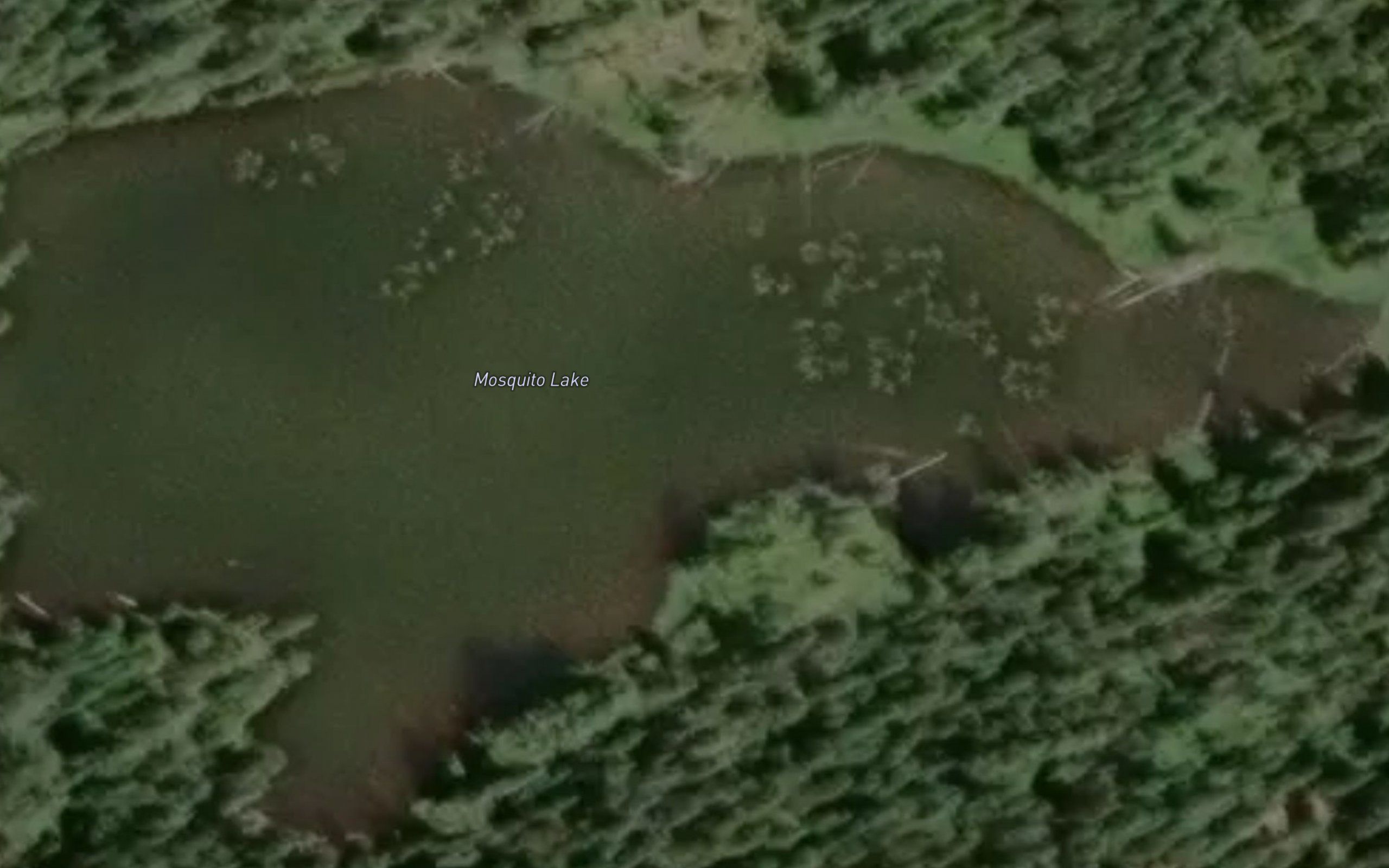 Mosquito Lake