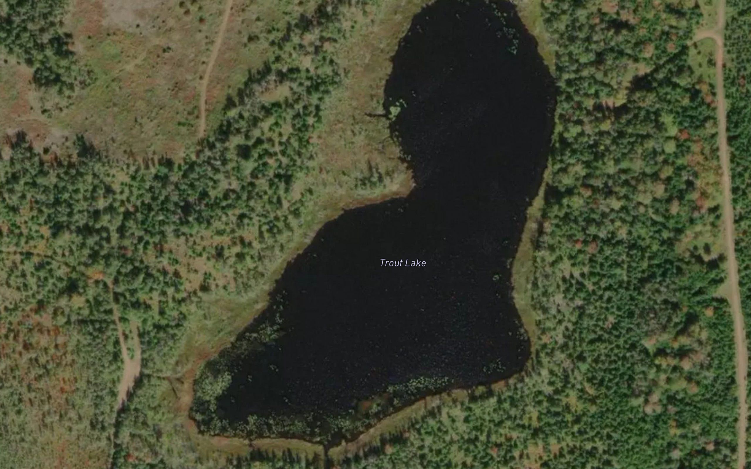 Trout Lake