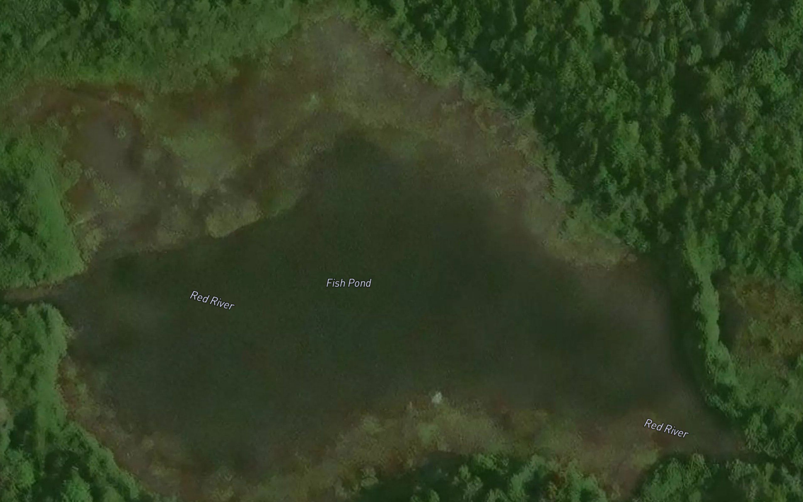 Fish Pond