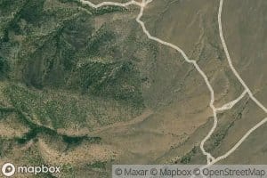 Coyote Spring