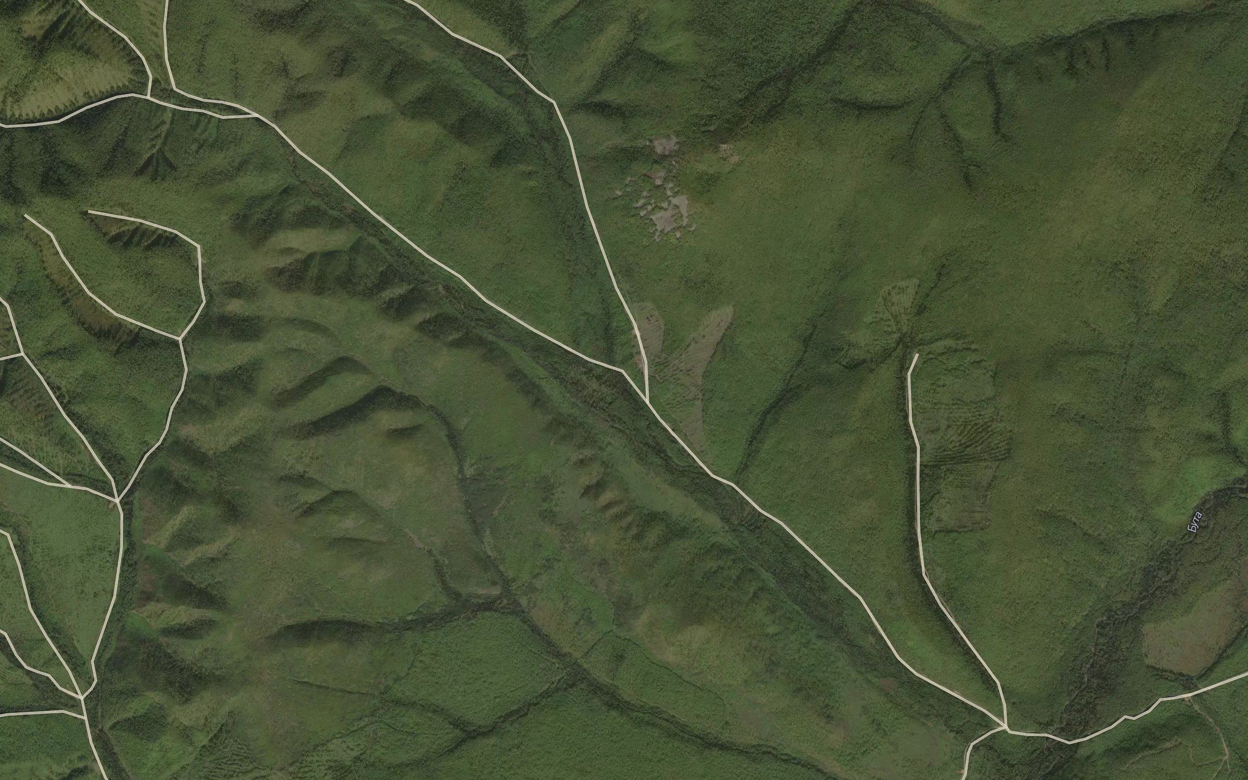 Tayezhnyy