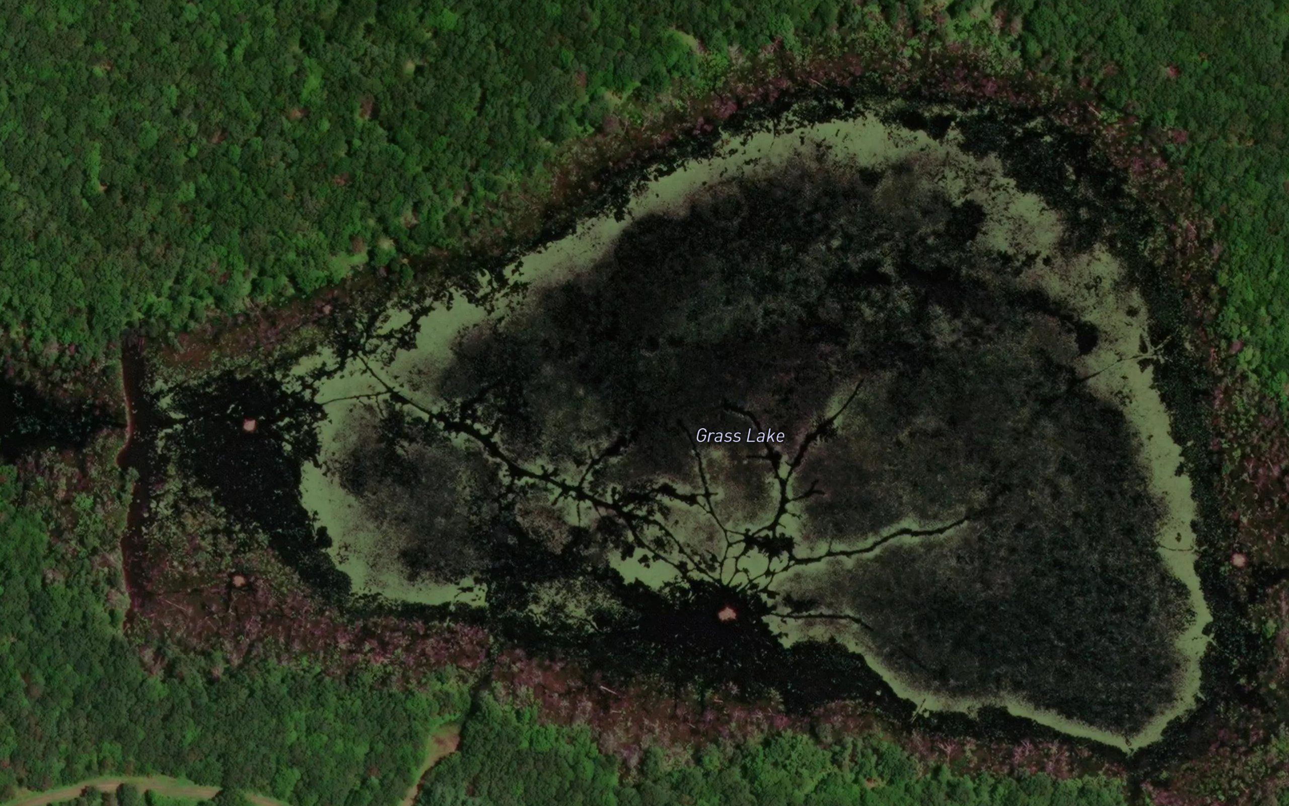 Grass Lake