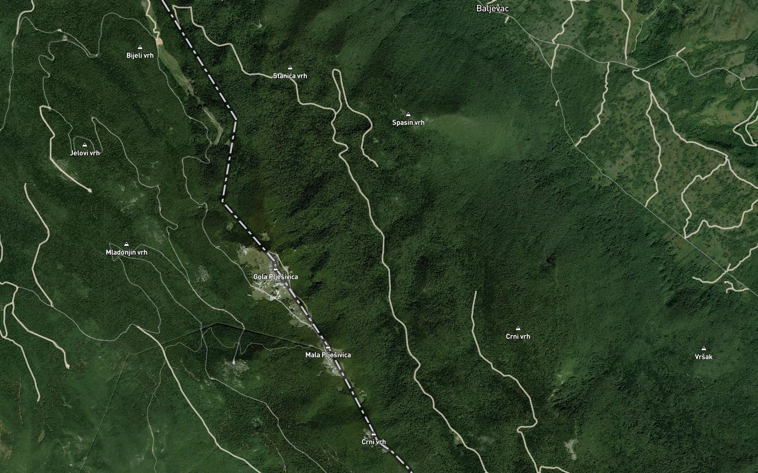 Zivulja