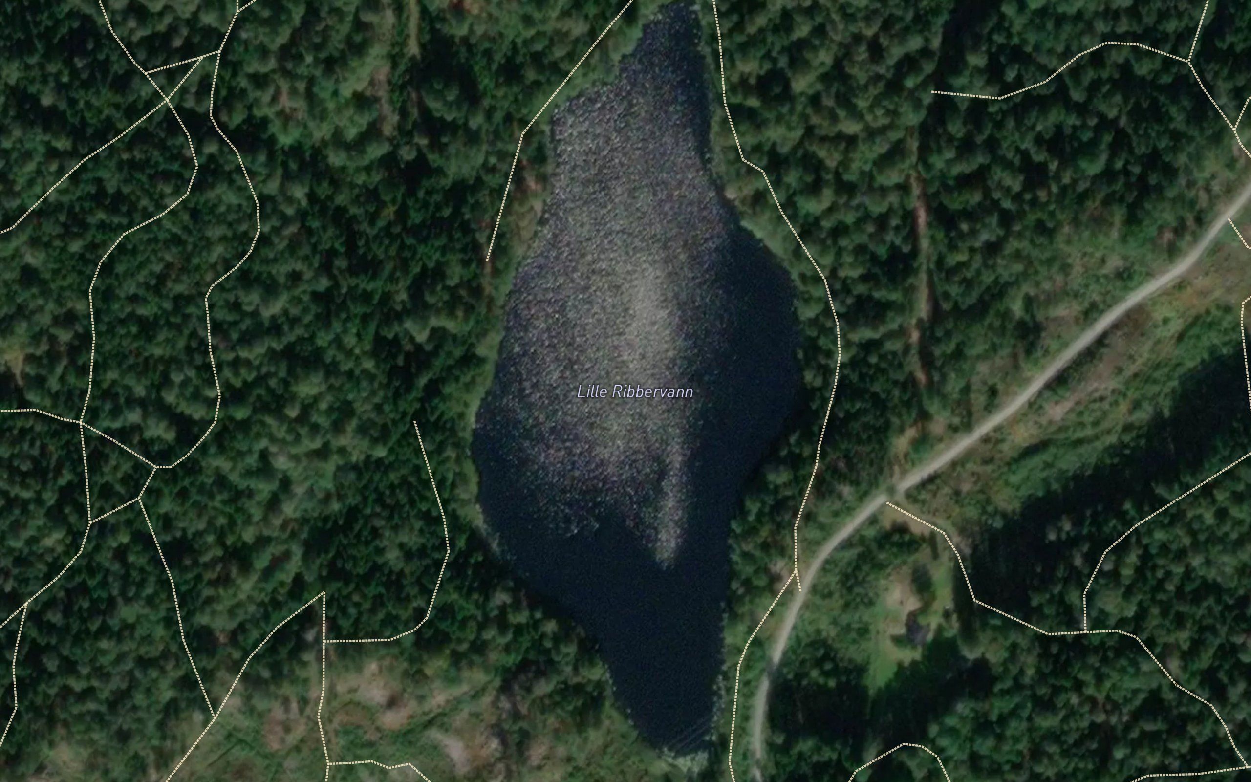 Lille Ribbervann