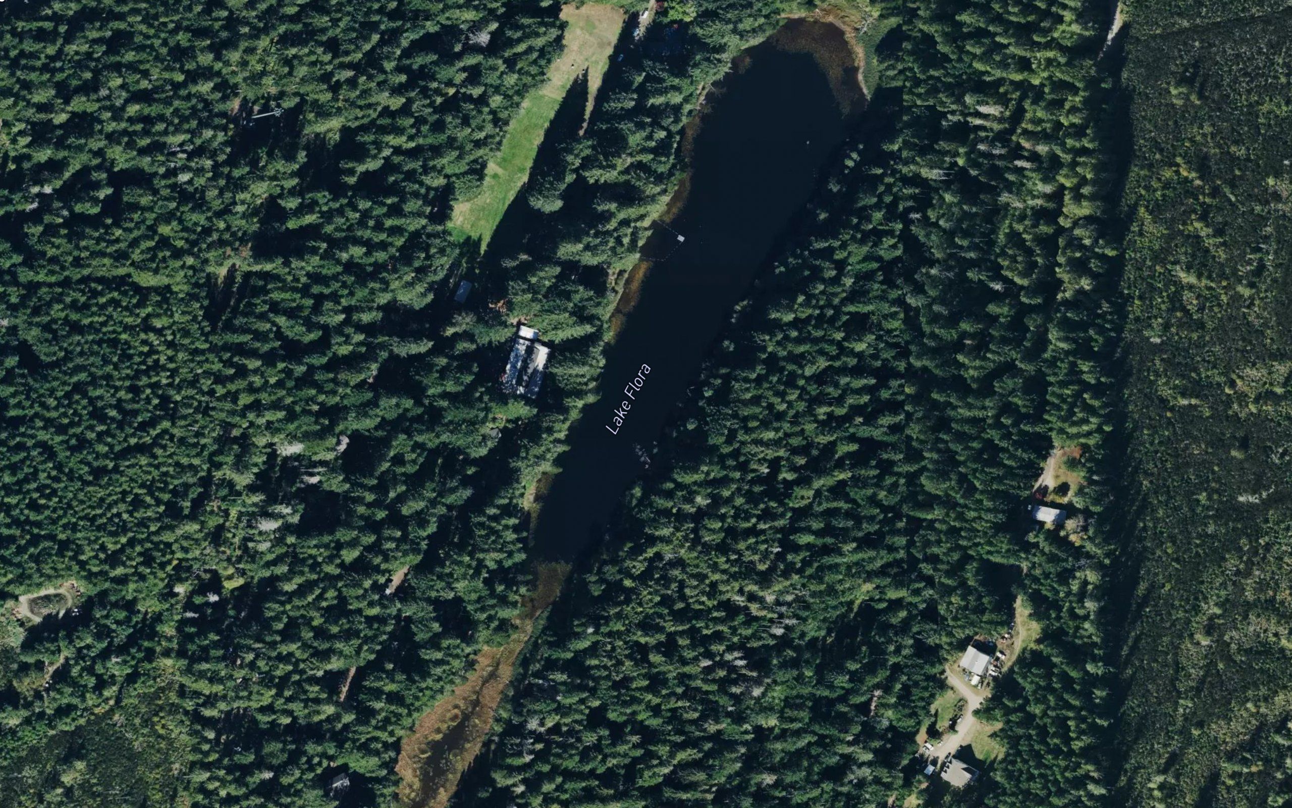Lake Flora