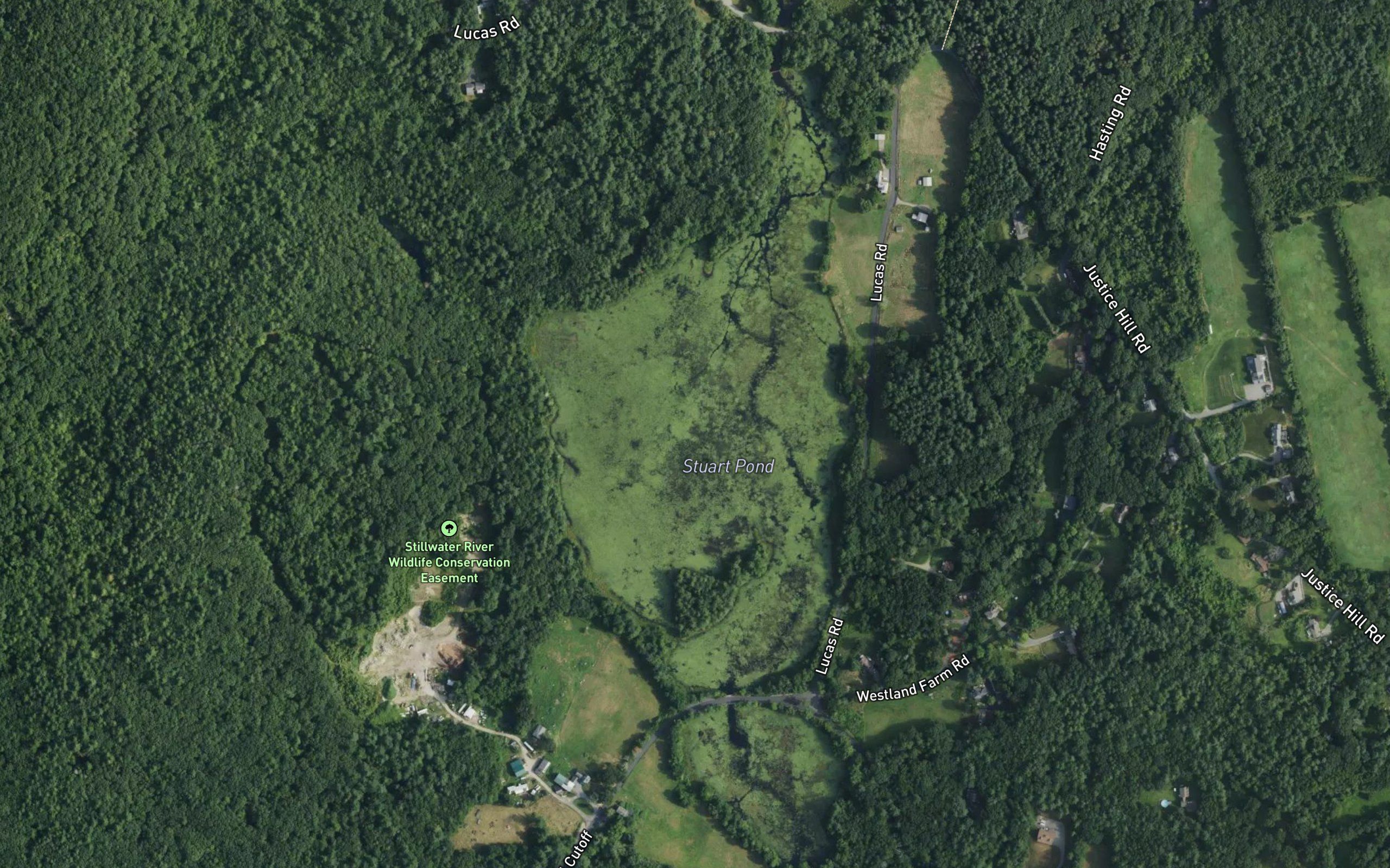 Stuart Pond