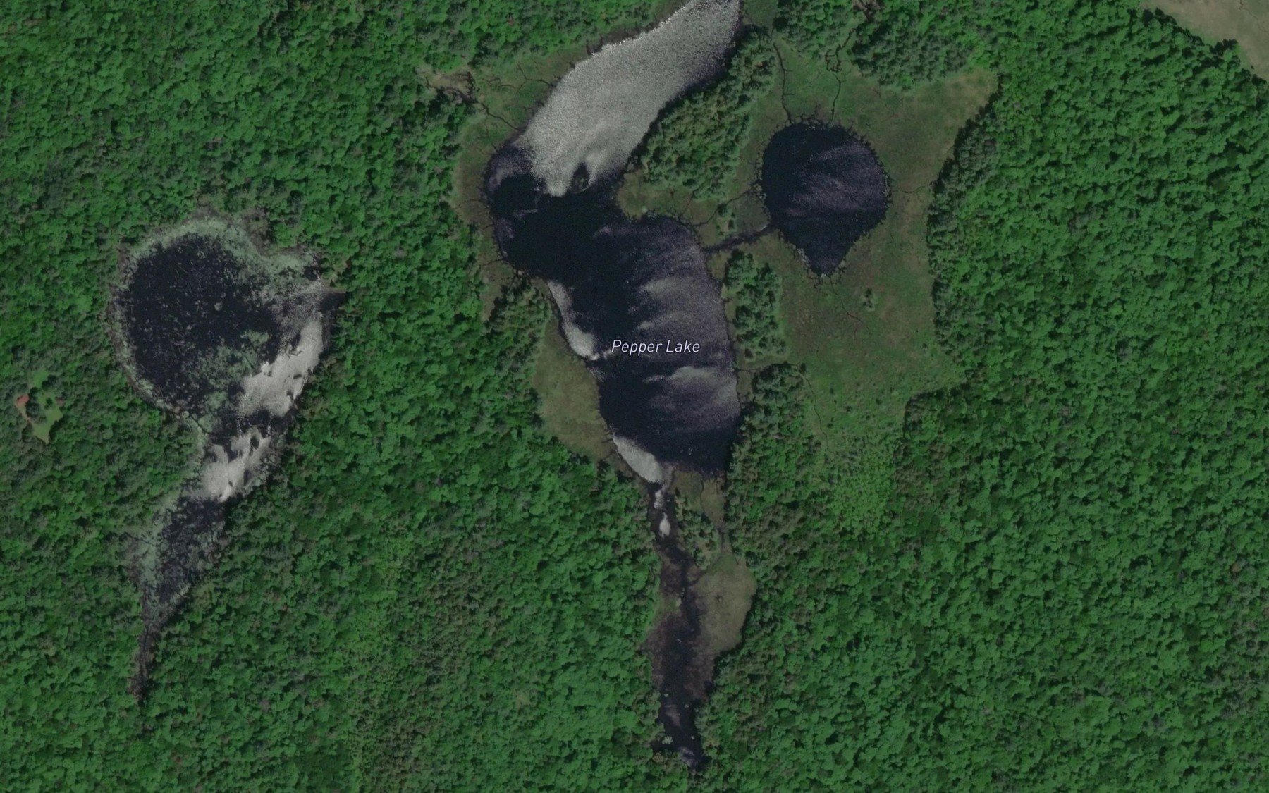 Satellite map of the Pepper Lake