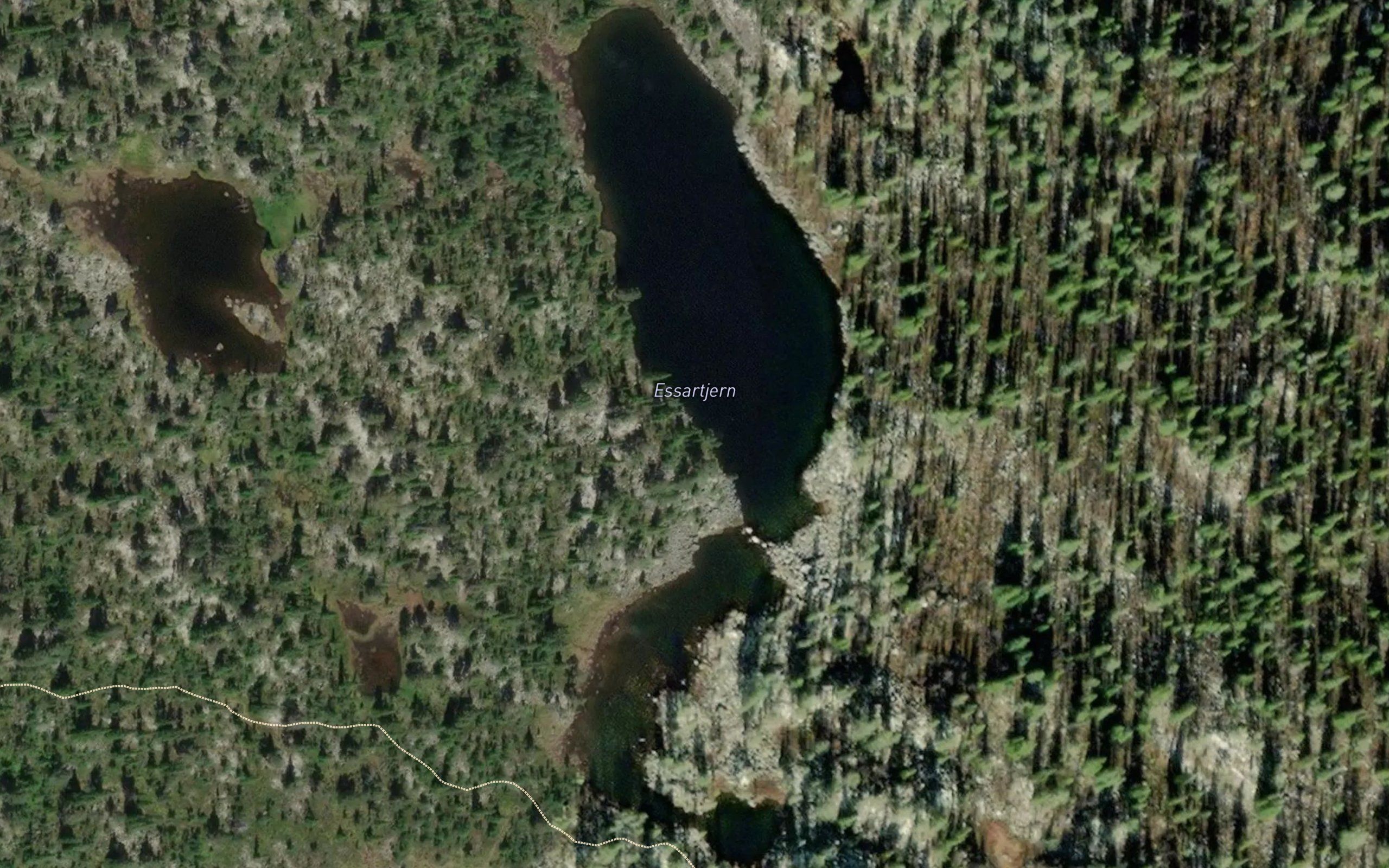 Essatjern