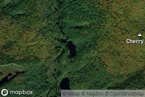 Mud Pond