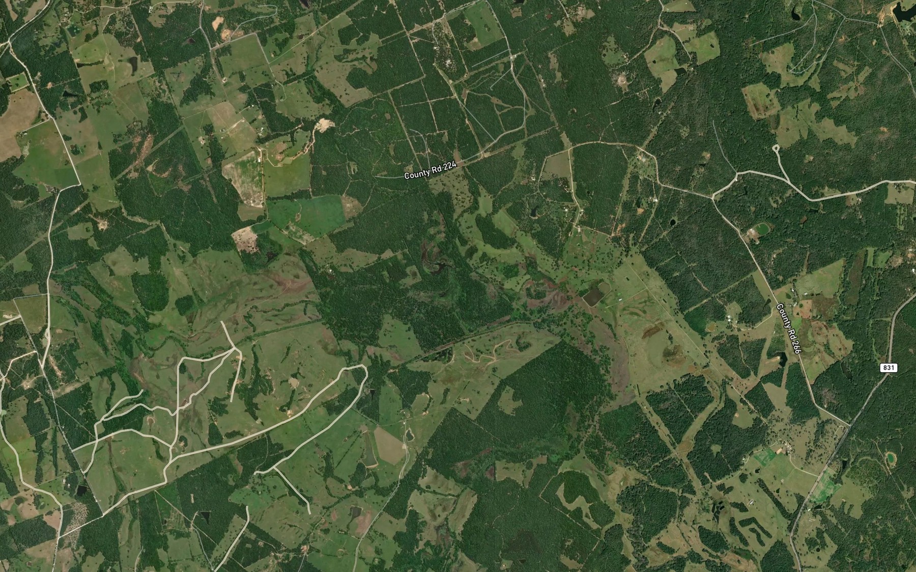 Satellite map of the Alligator Creek
