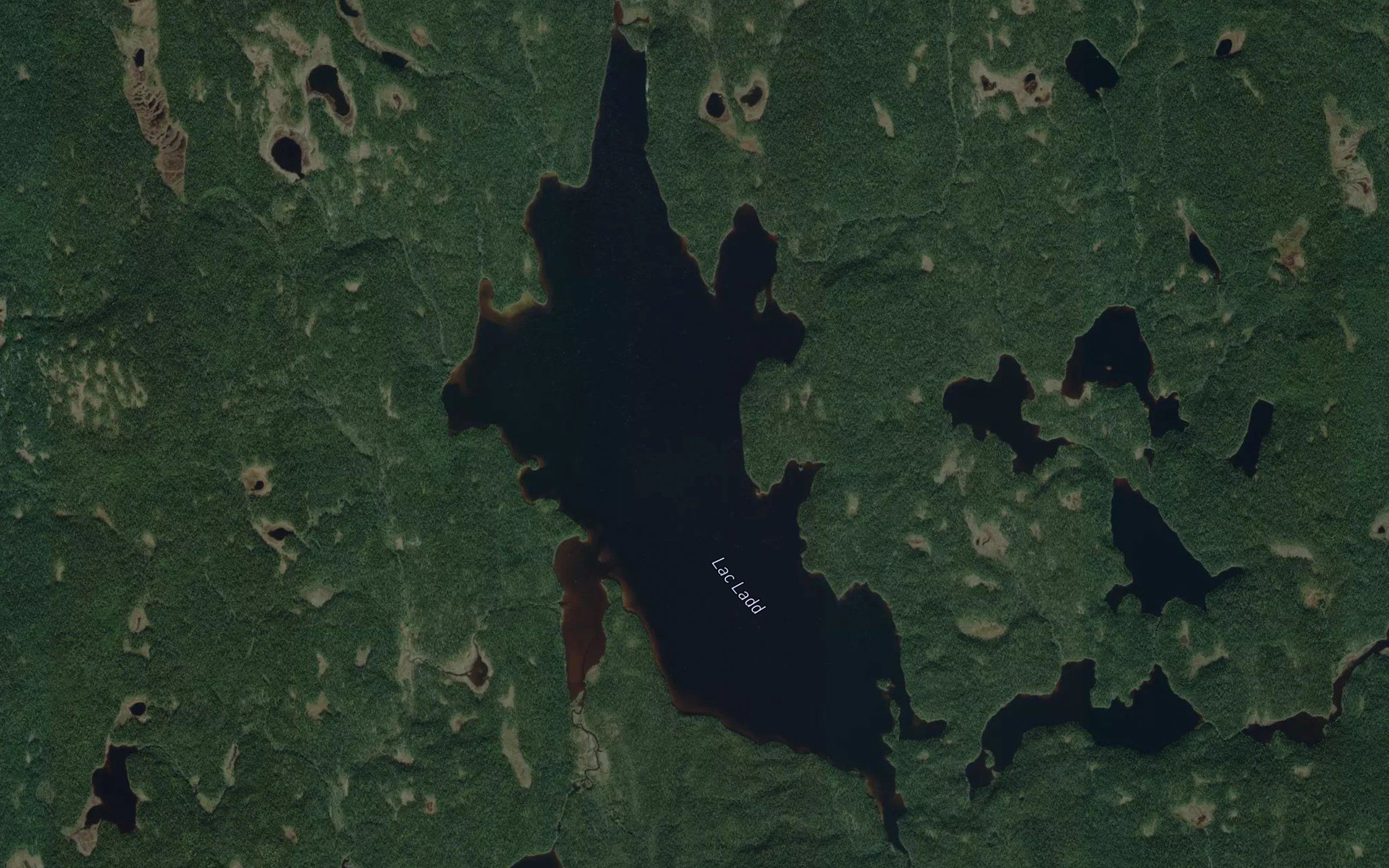 Lac Ladd