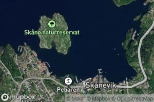 Skanevik