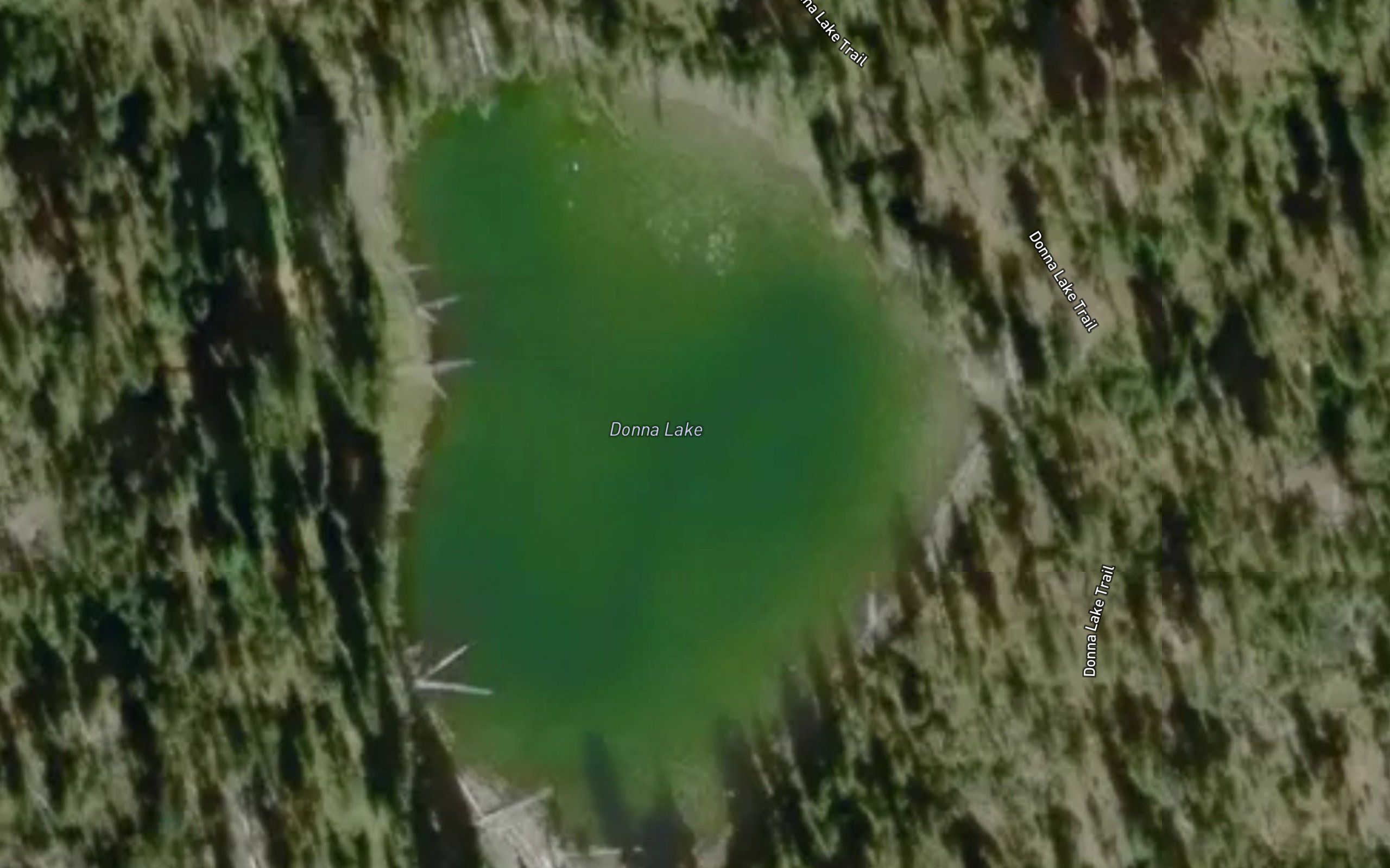 Donna Lake