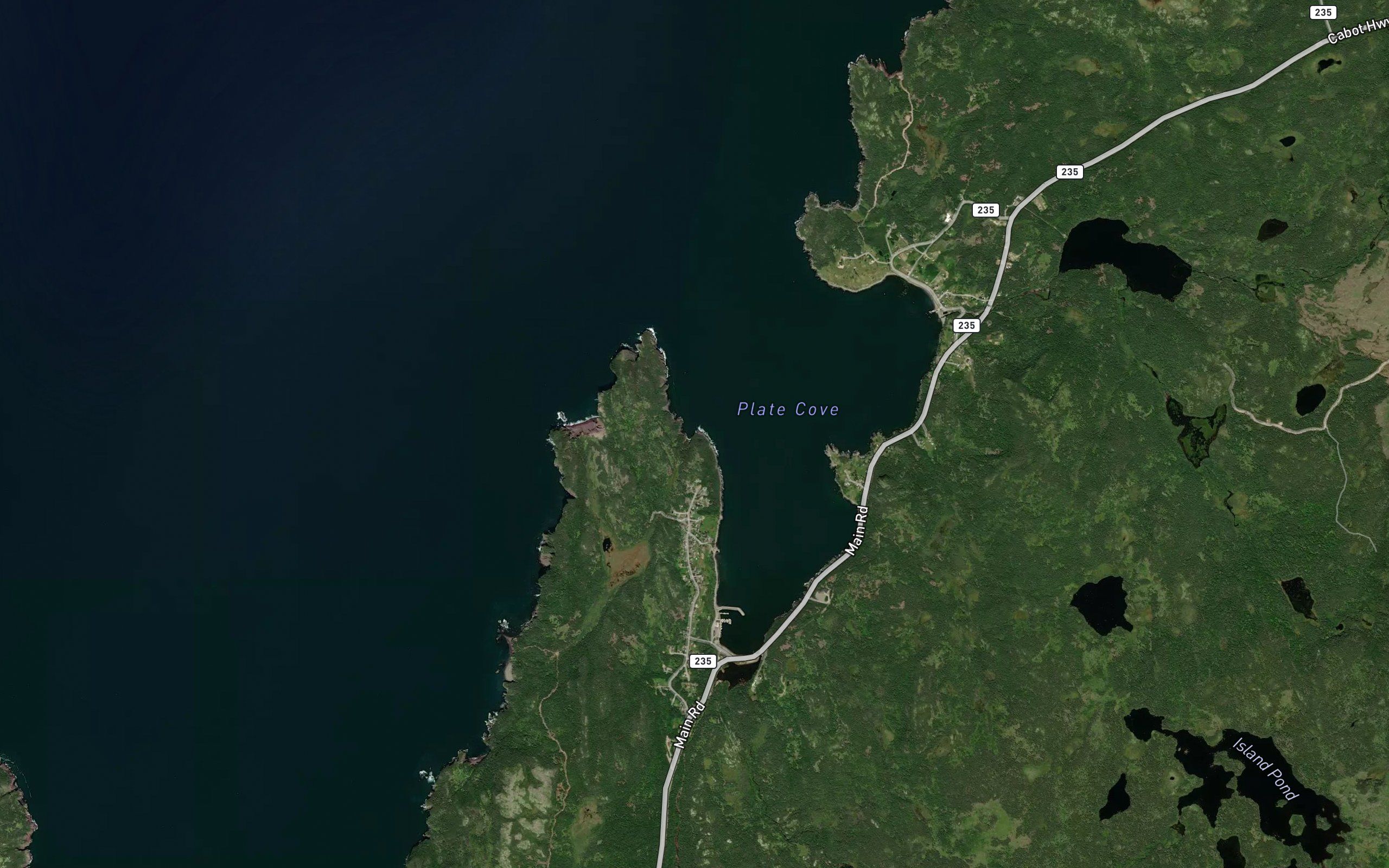Wild Cove