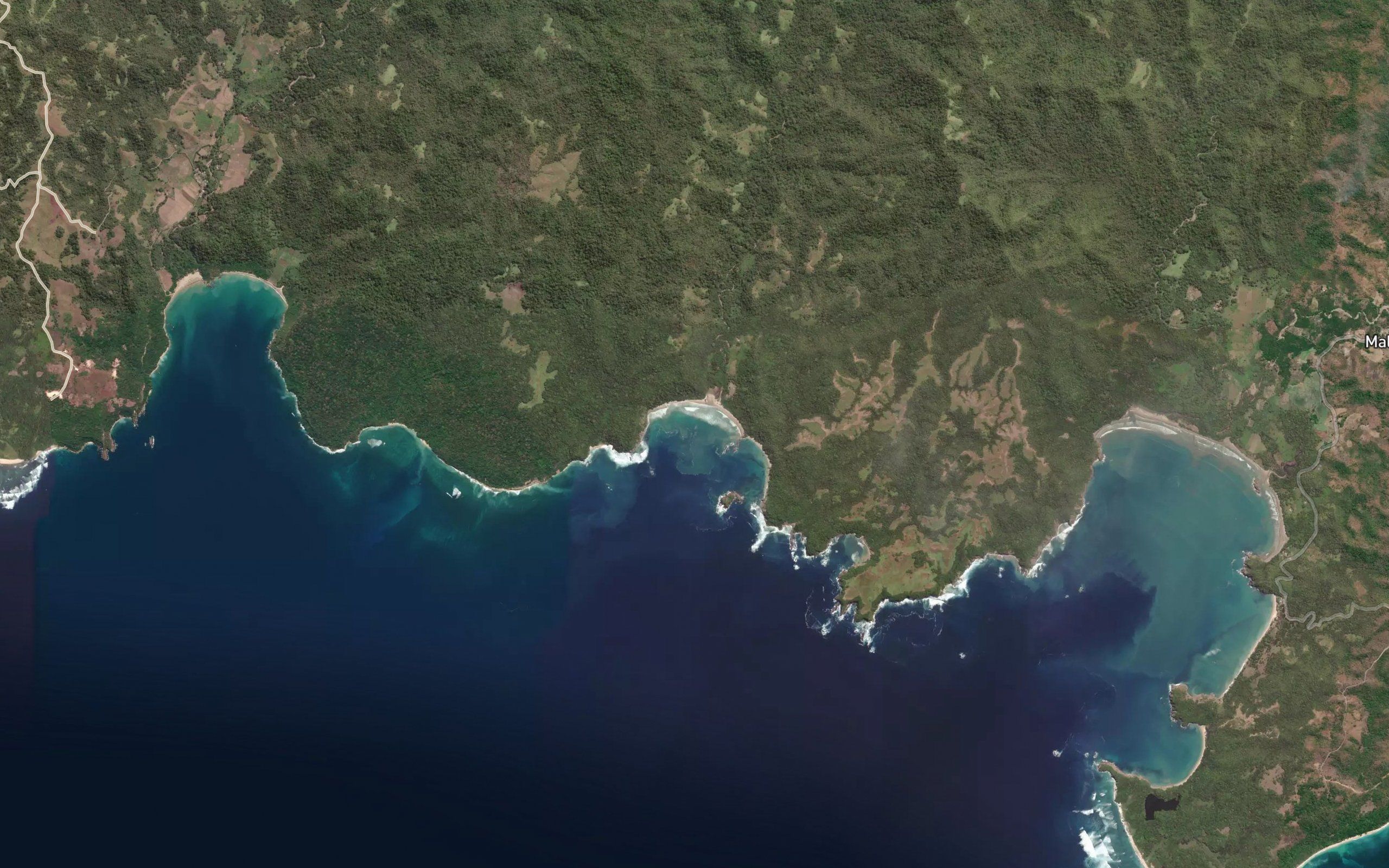 Teluk Lisi
