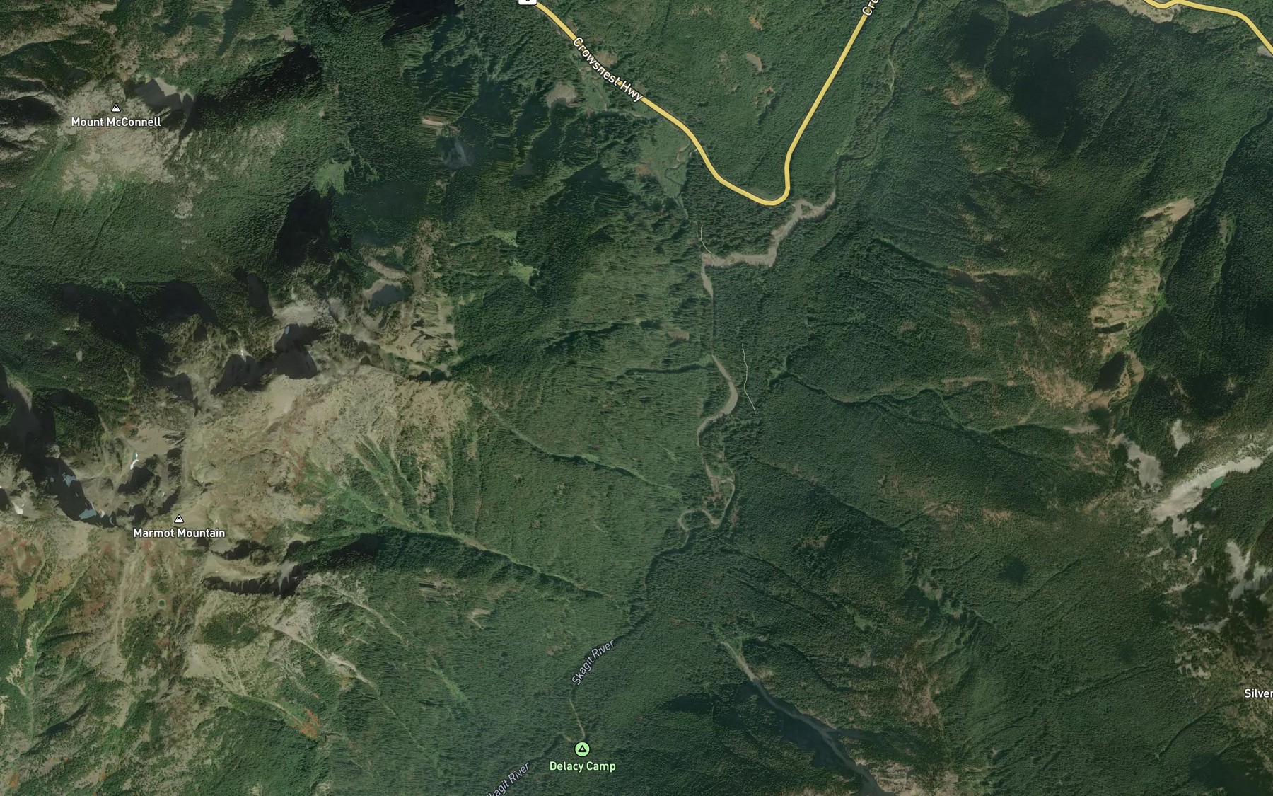 Satellite map of the Silverdaisy Creek