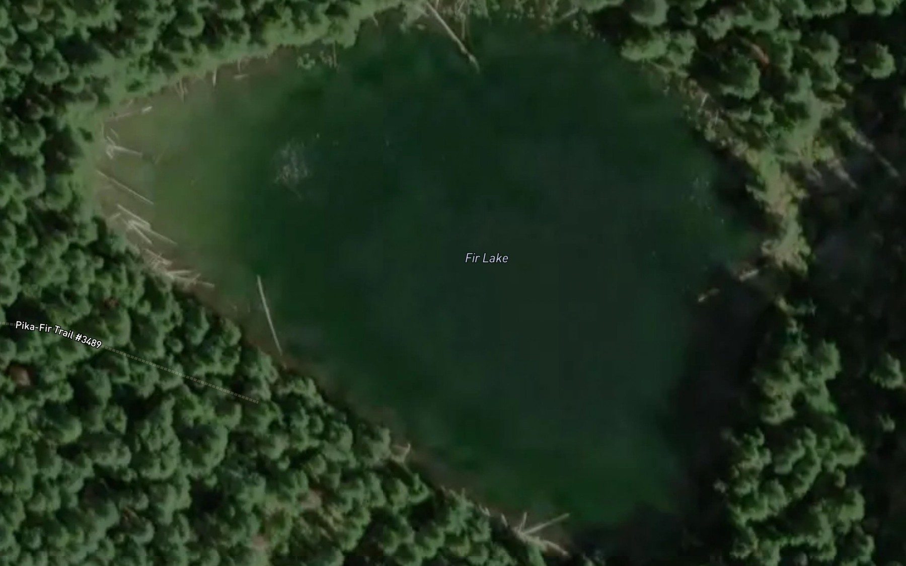 Satellite map of the Fir Lake